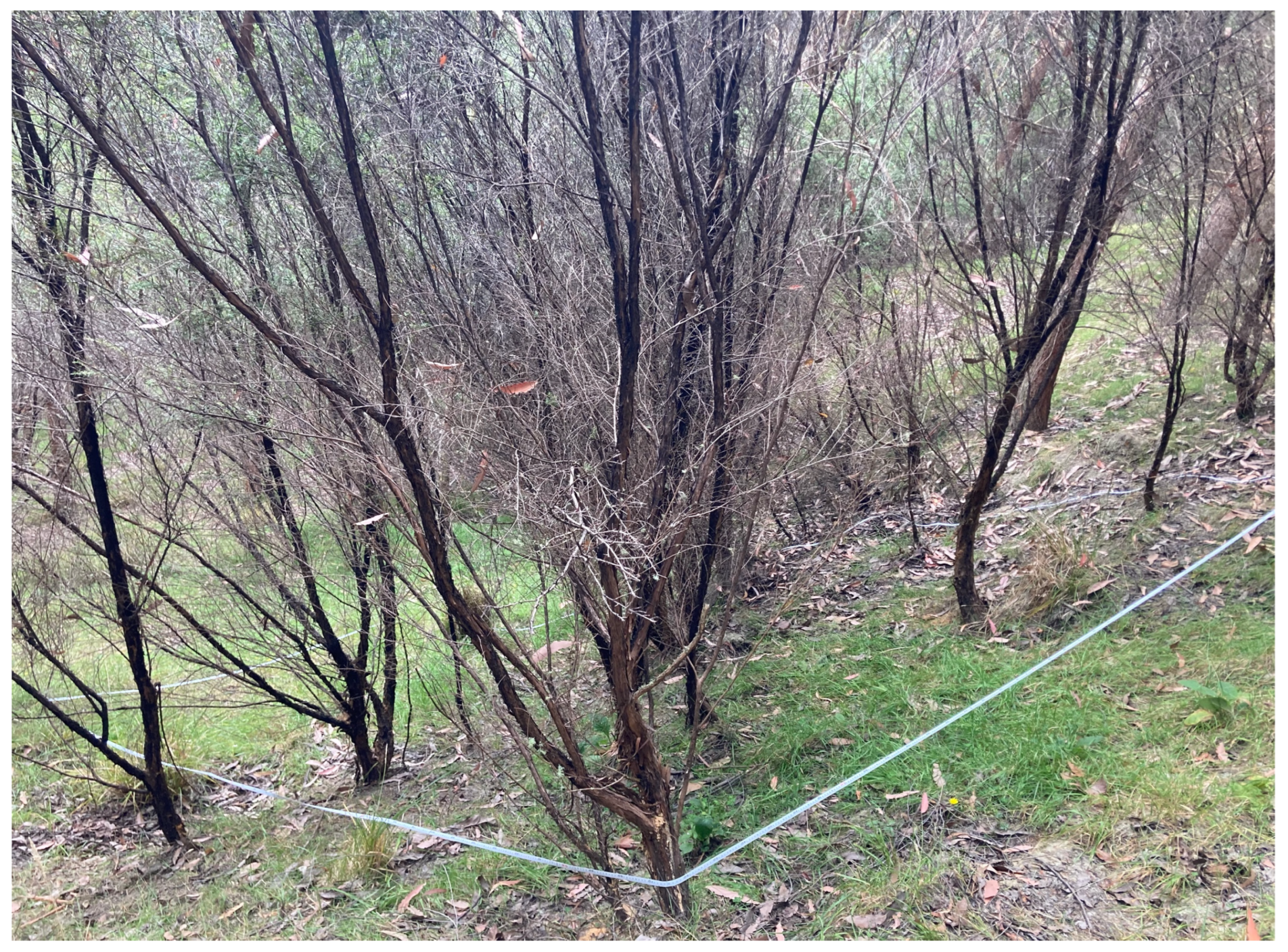 Agriculture 13 00856 g002 Agriculture 13 00856 g002