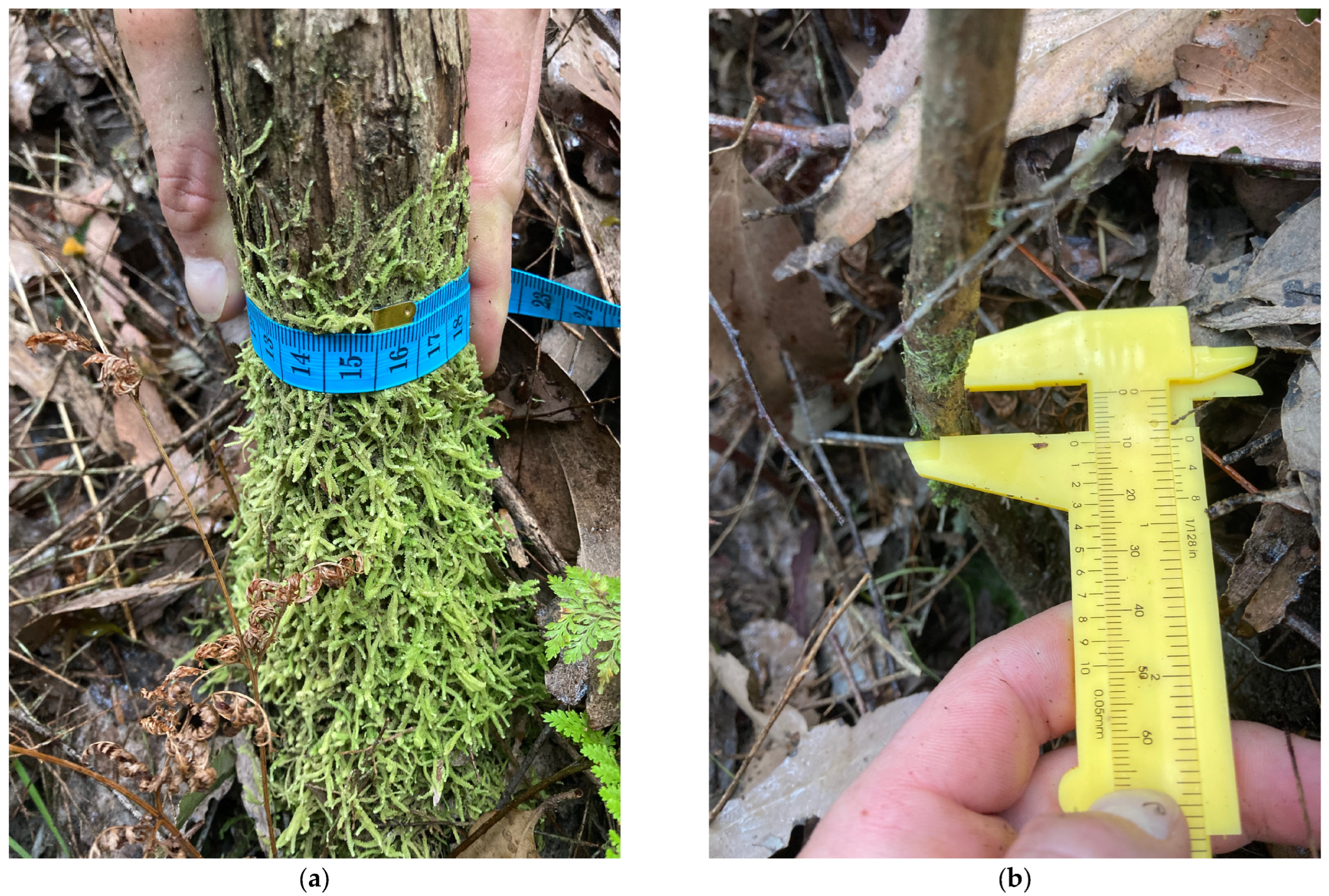 Agriculture 13 00856 g003 Agriculture 13 00856 g003