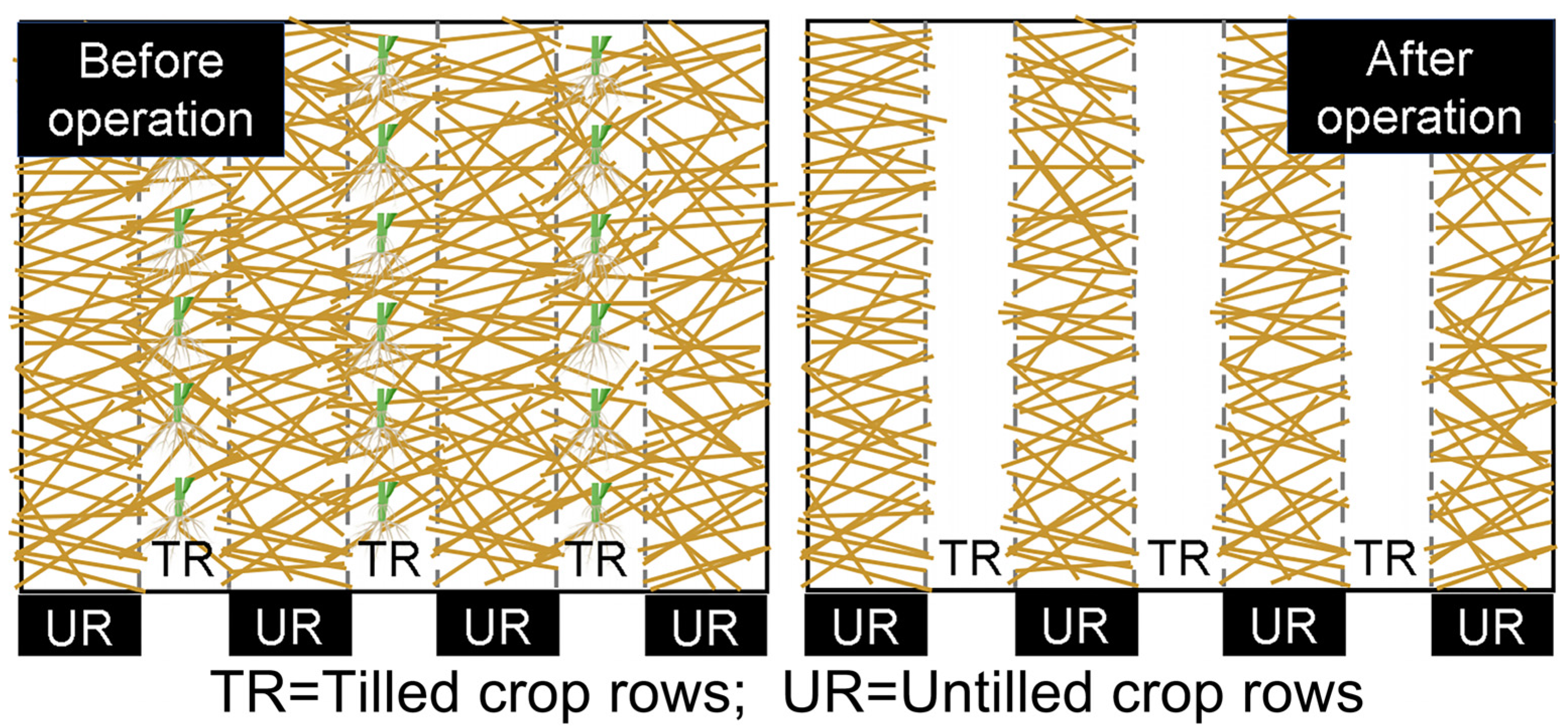 Agriculture 13 00877 g001 Agriculture 13 00877 g001