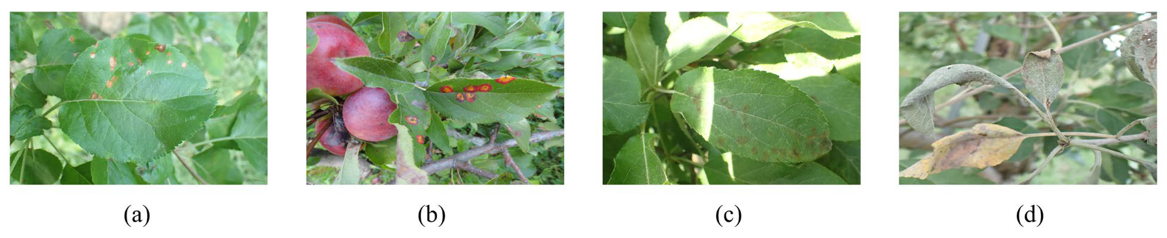 Agriculture 13 00878 g001 Agriculture 13 00878 g001