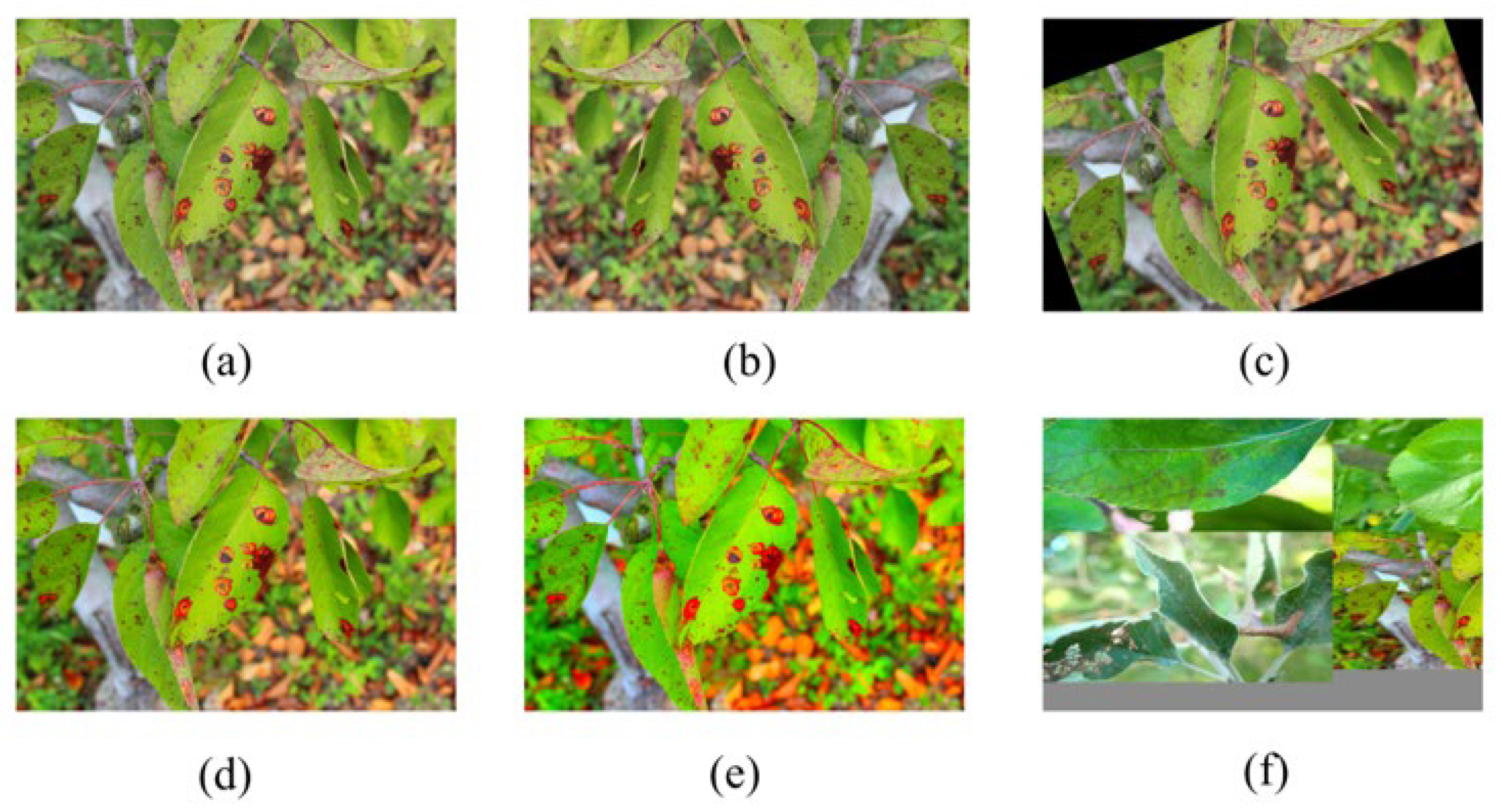 Agriculture 13 00878 g003 Agriculture 13 00878 g003