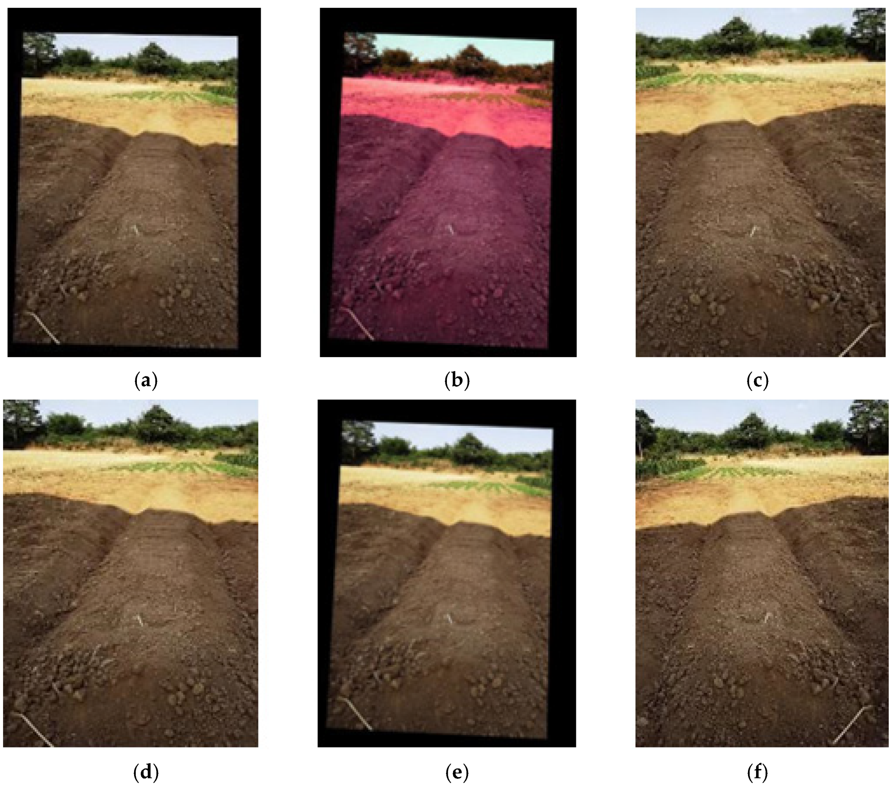 Agriculture 13 00881 g002