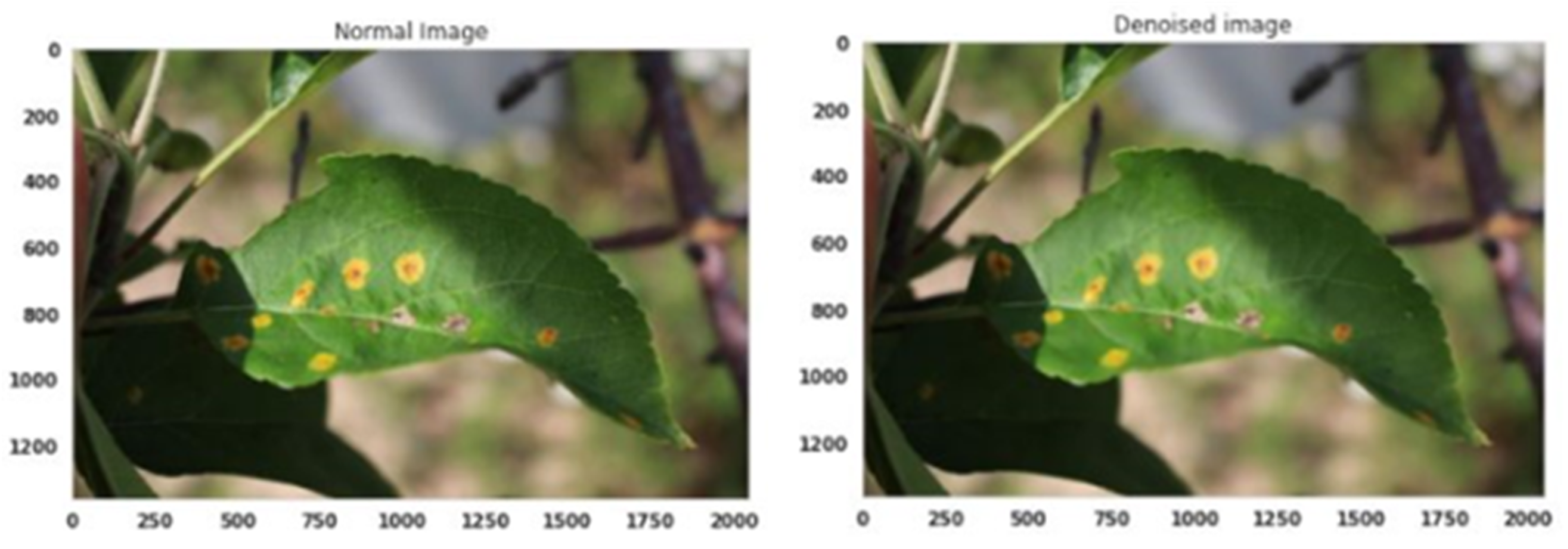 Agriculture 13 00889 g003