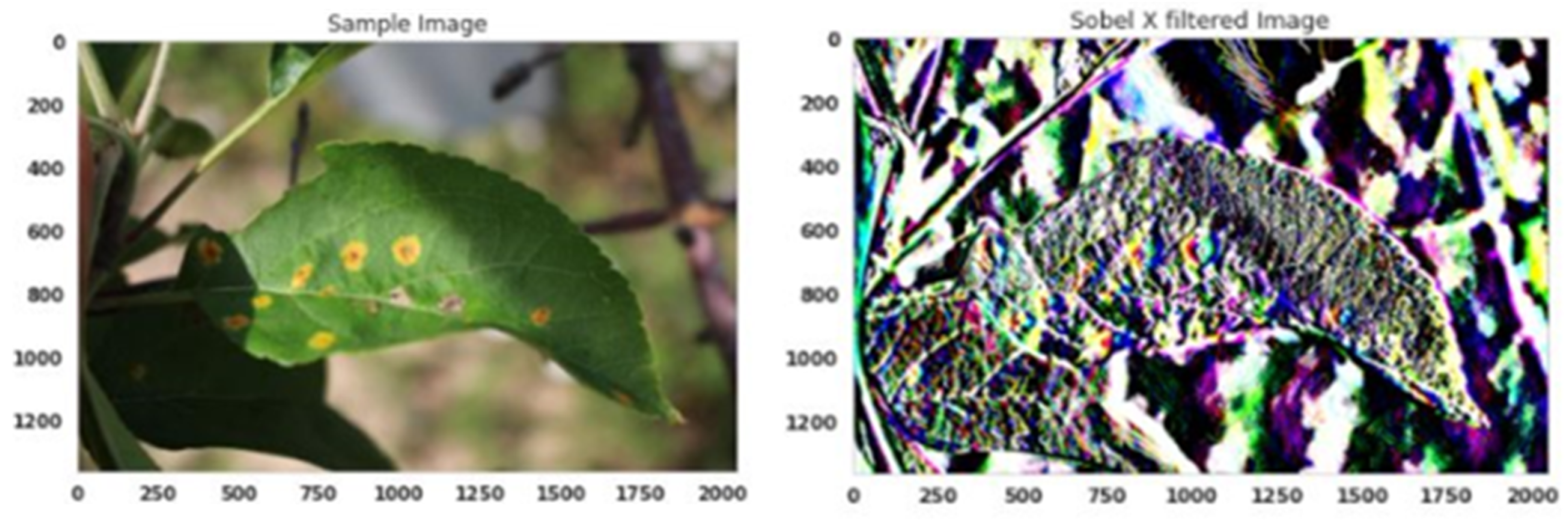 Agriculture 13 00889 g005