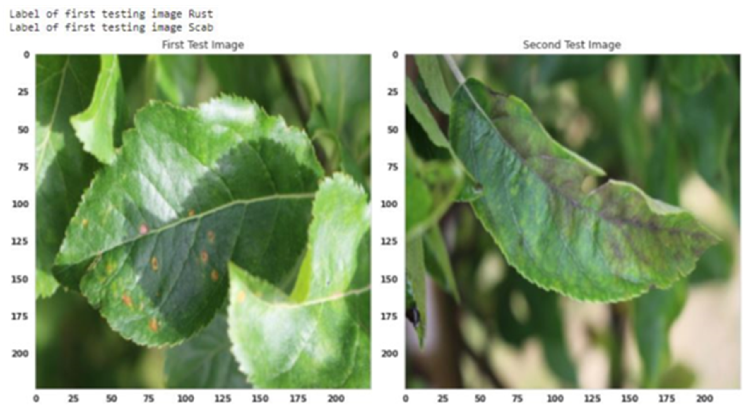 Agriculture 13 00889 g013