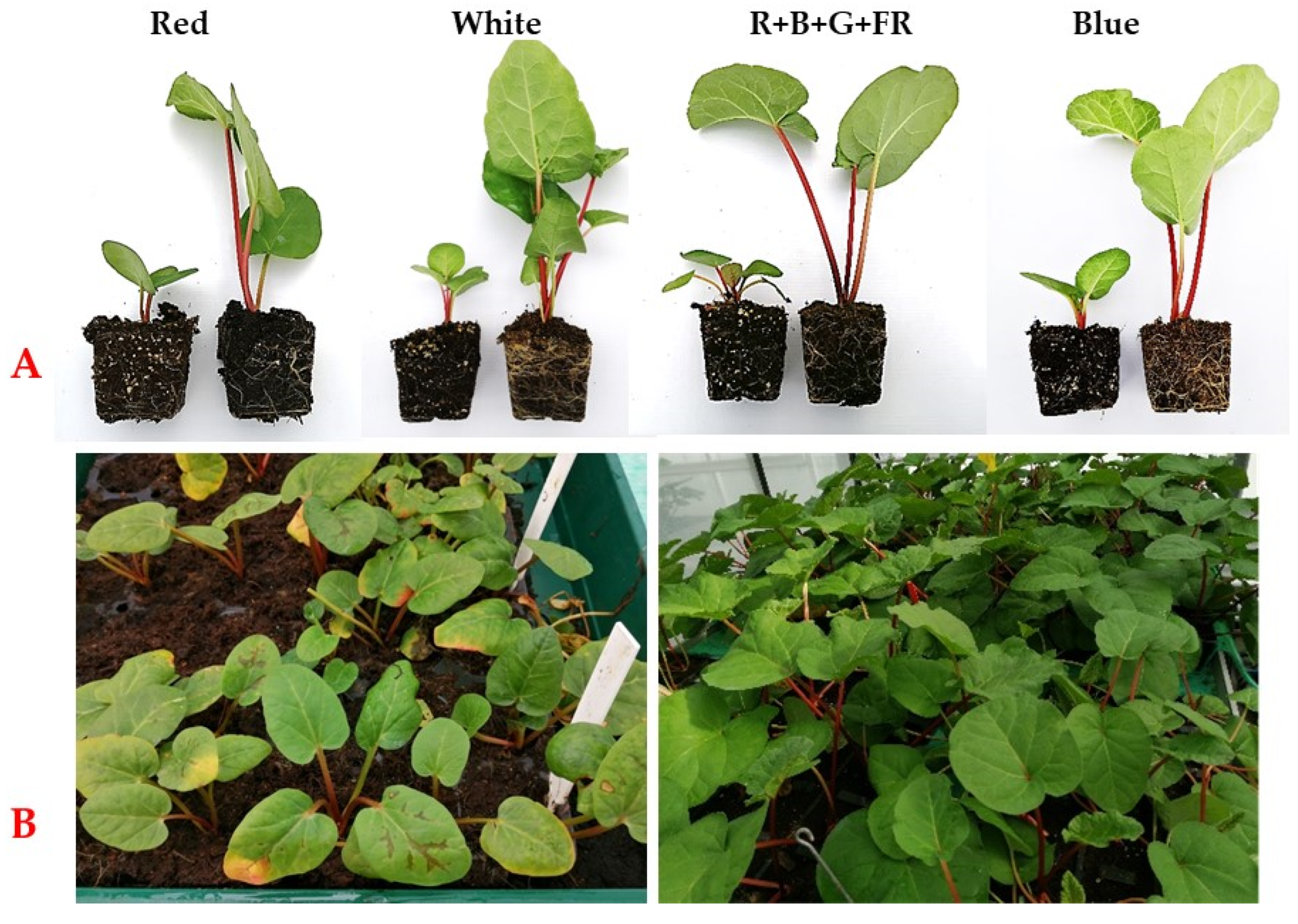 Agriculture 13 00890 g003