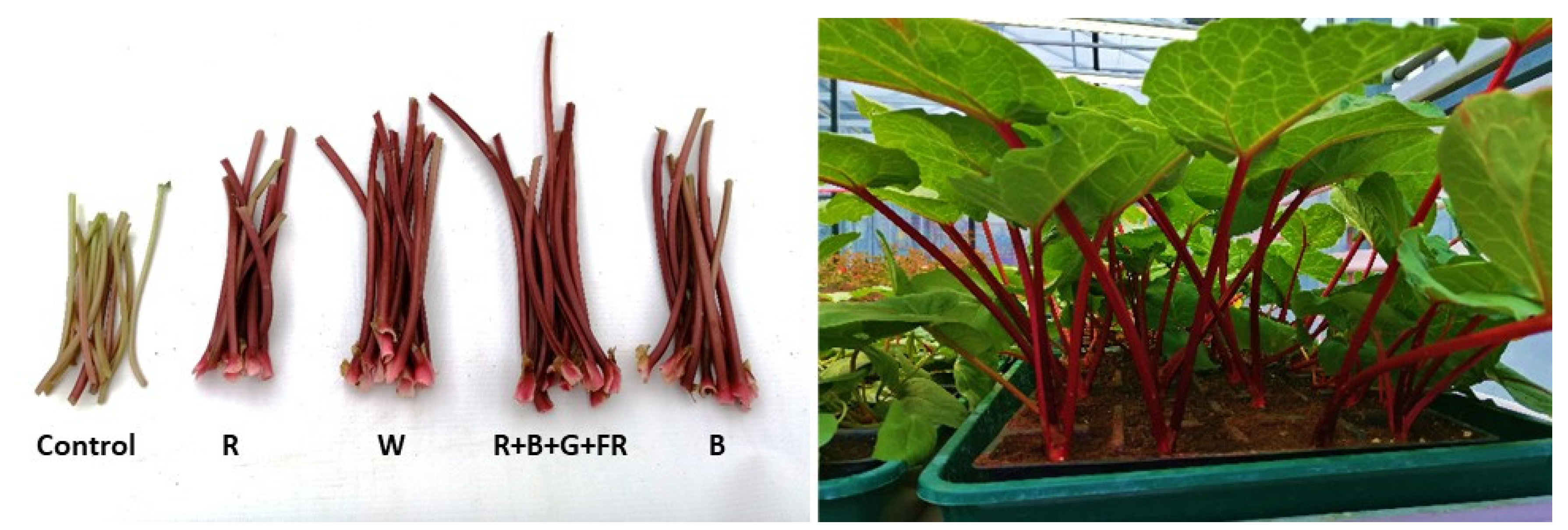 Agriculture 13 00890 g005