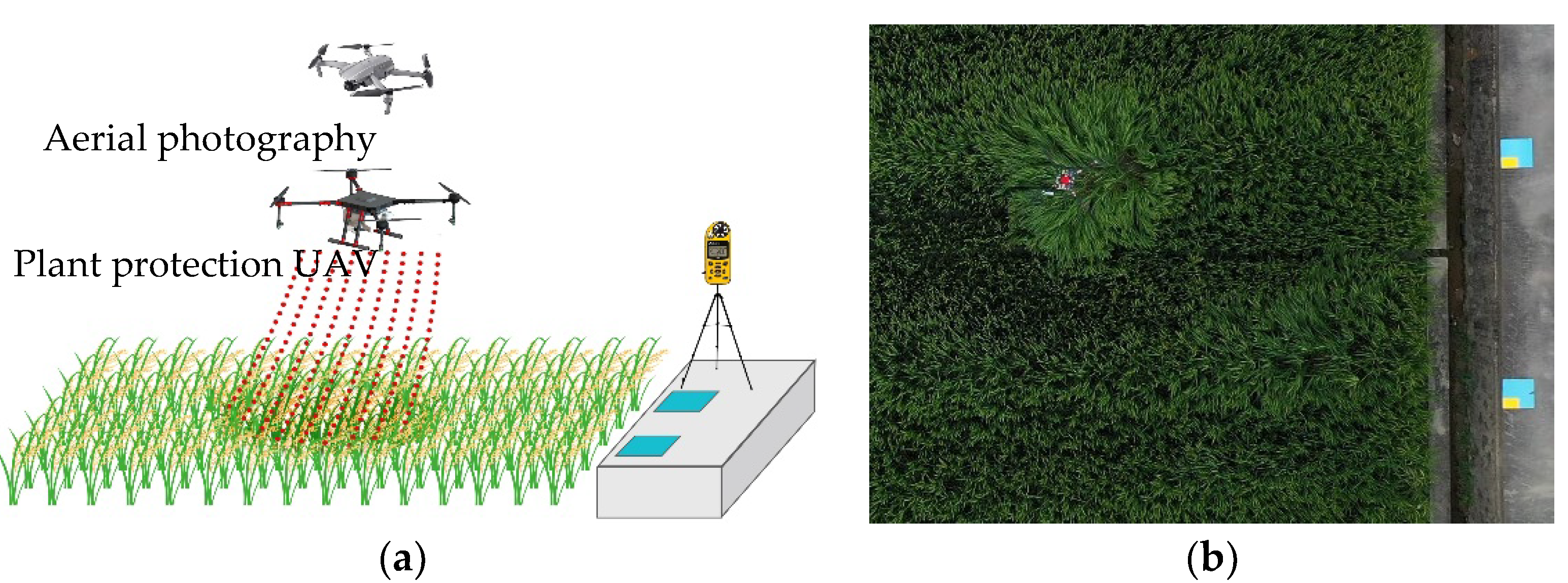 Agriculture 13 00892 g002