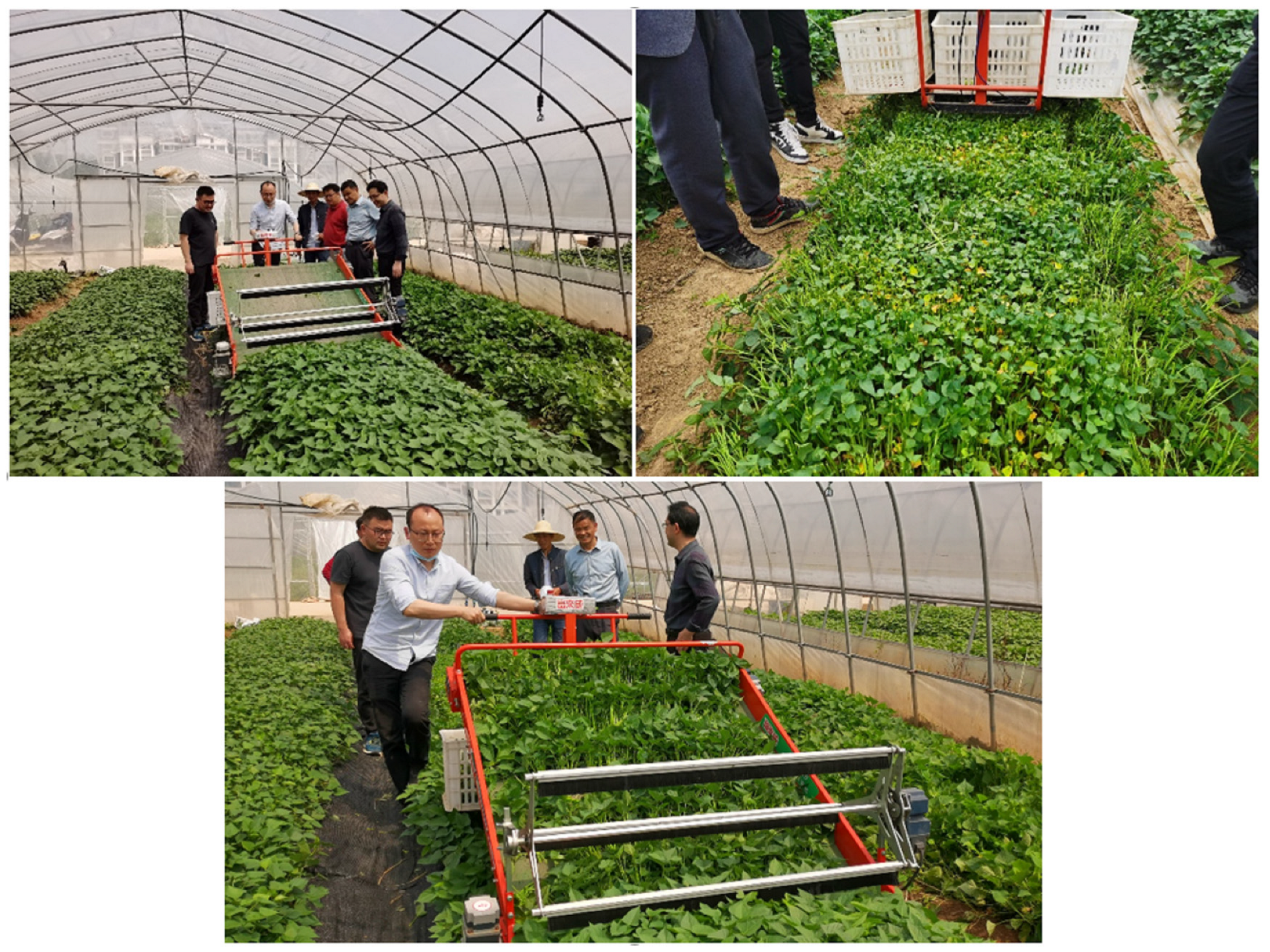 Agriculture 13 00905 g012