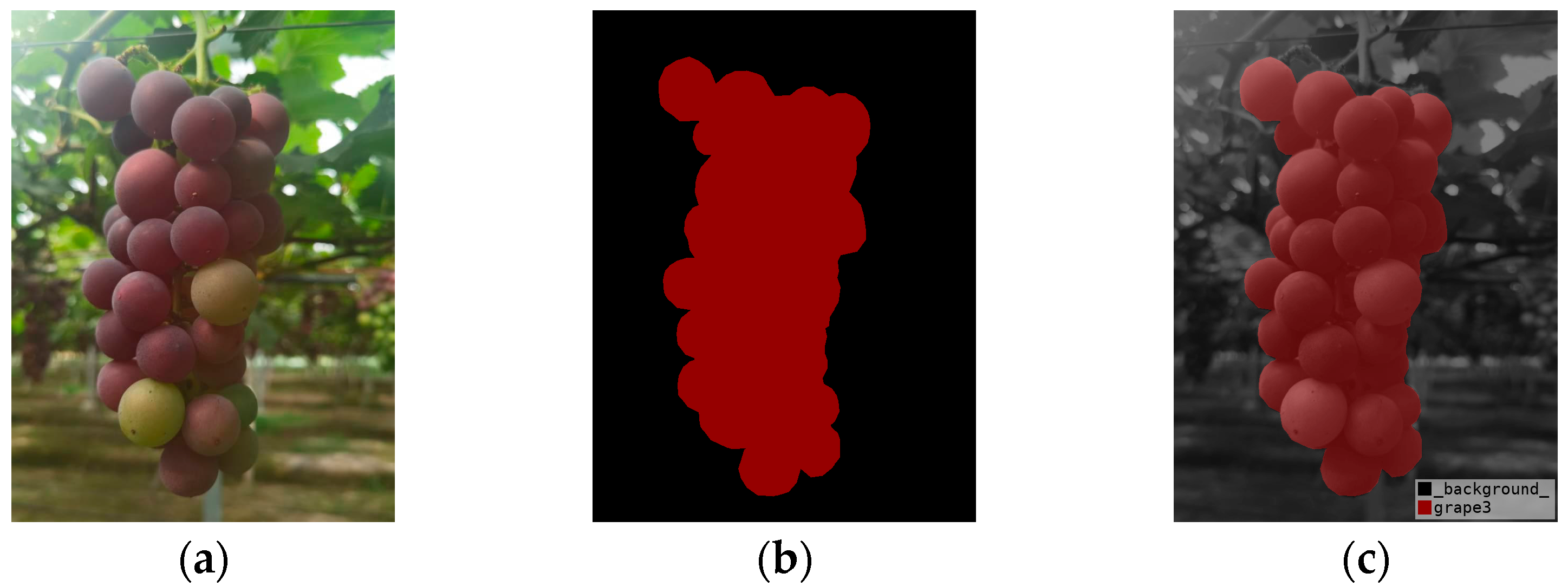 Agriculture 13 00914 g003