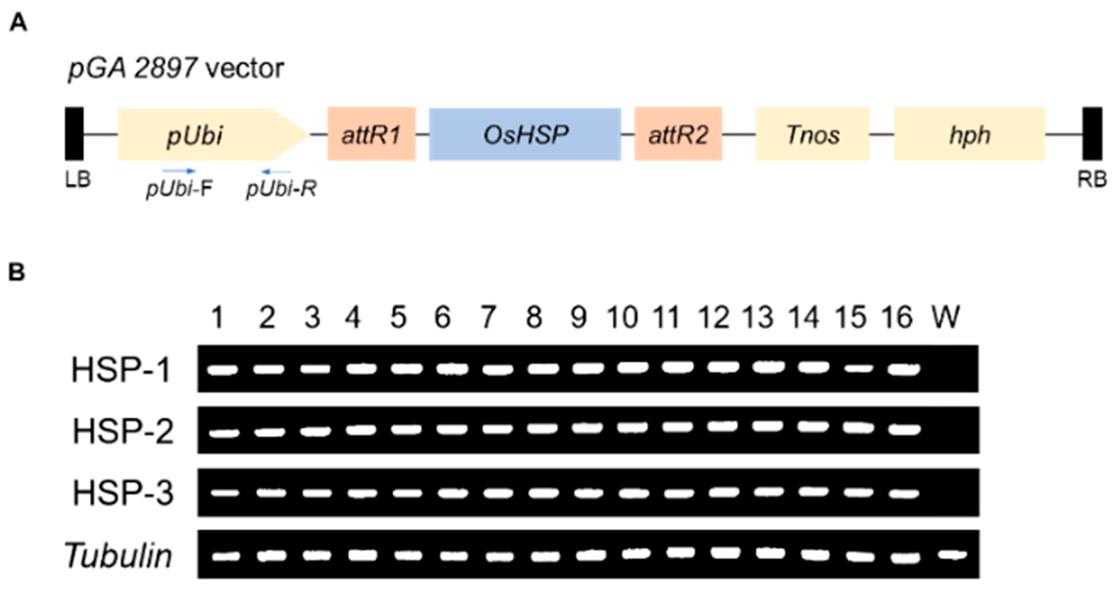 Agriculture 13 00931 g001 Agriculture 13 00931 g001
