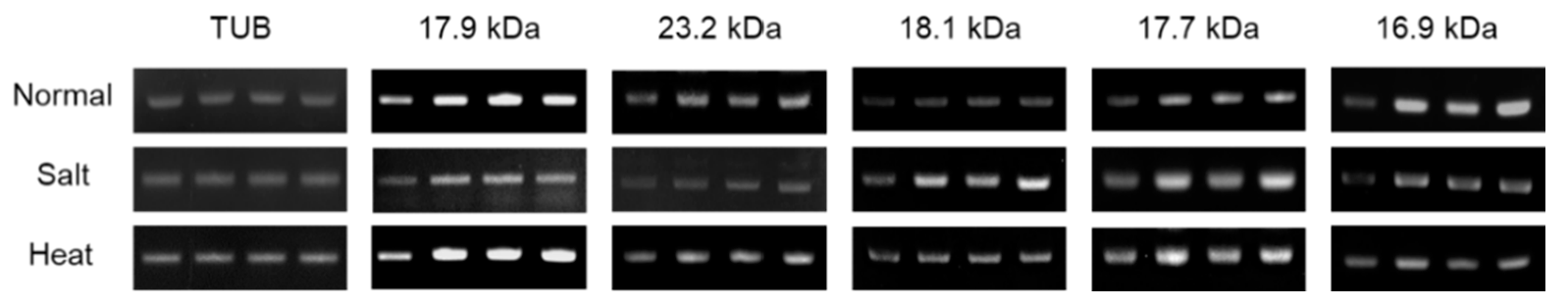 Agriculture 13 00931 g003 Agriculture 13 00931 g003