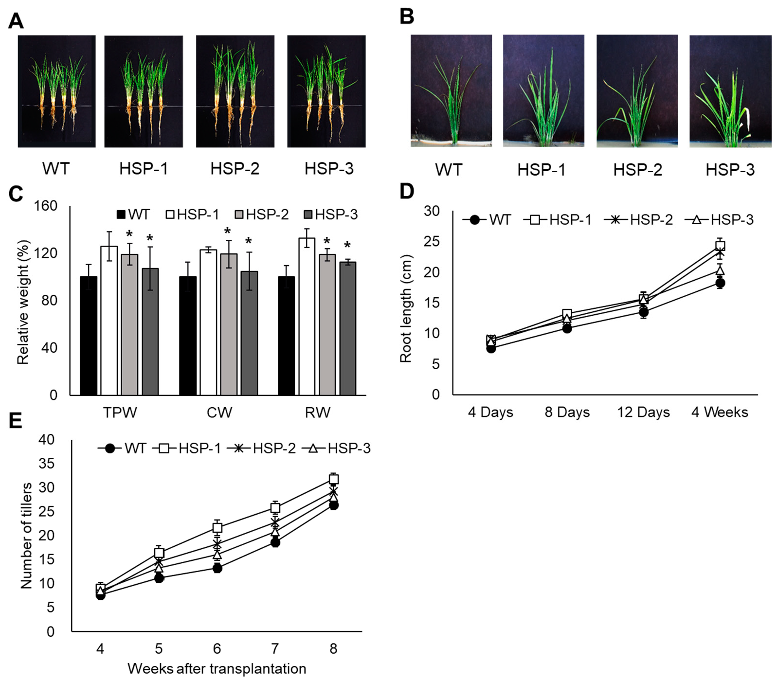 Agriculture 13 00931 g005 Agriculture 13 00931 g005