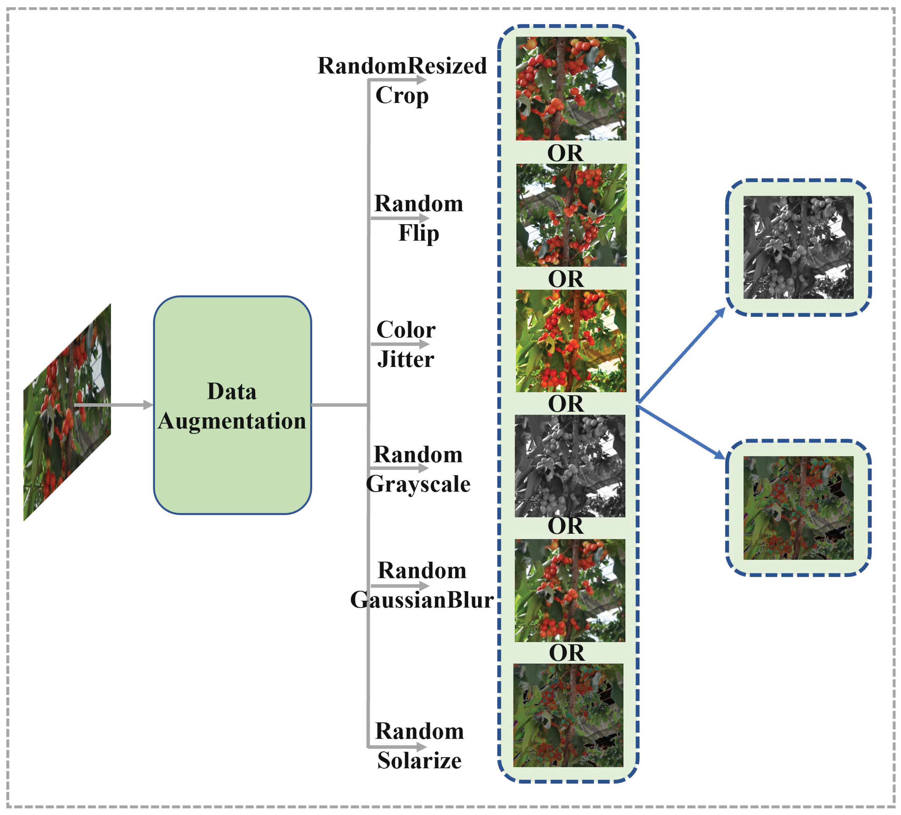 Agriculture 13 00939 g003 550