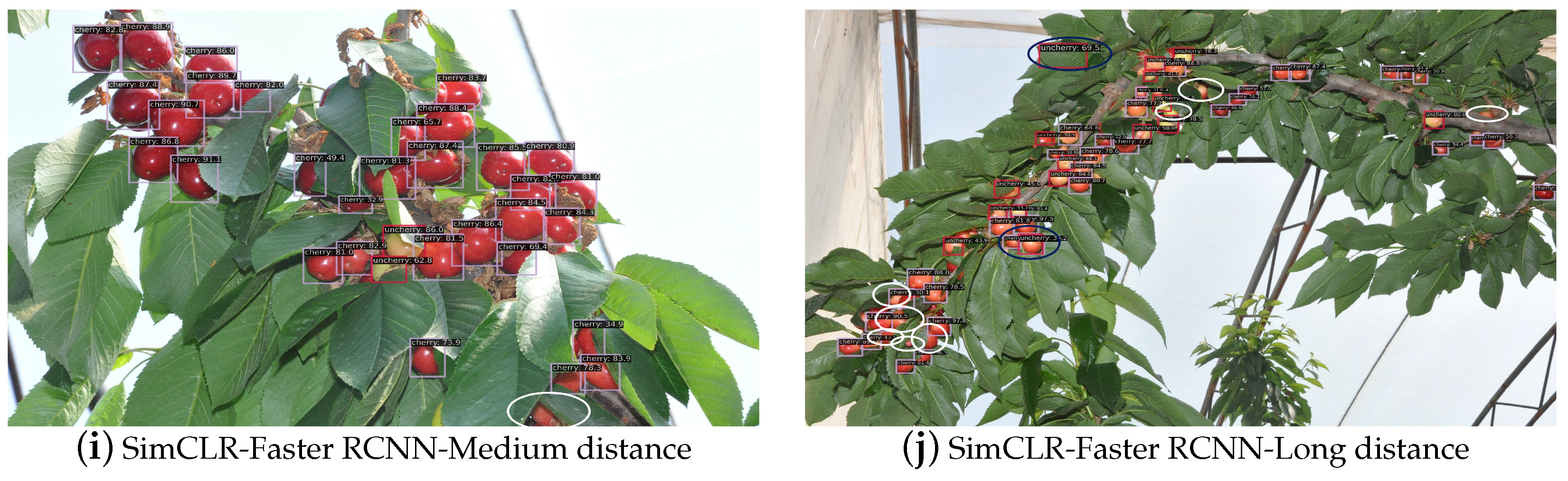 Agriculture 13 00939 g007b 550
