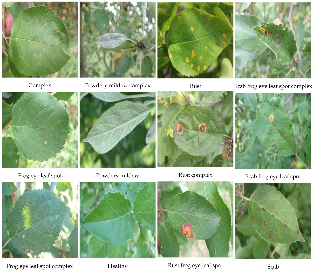 Agriculture 13 00940 g005