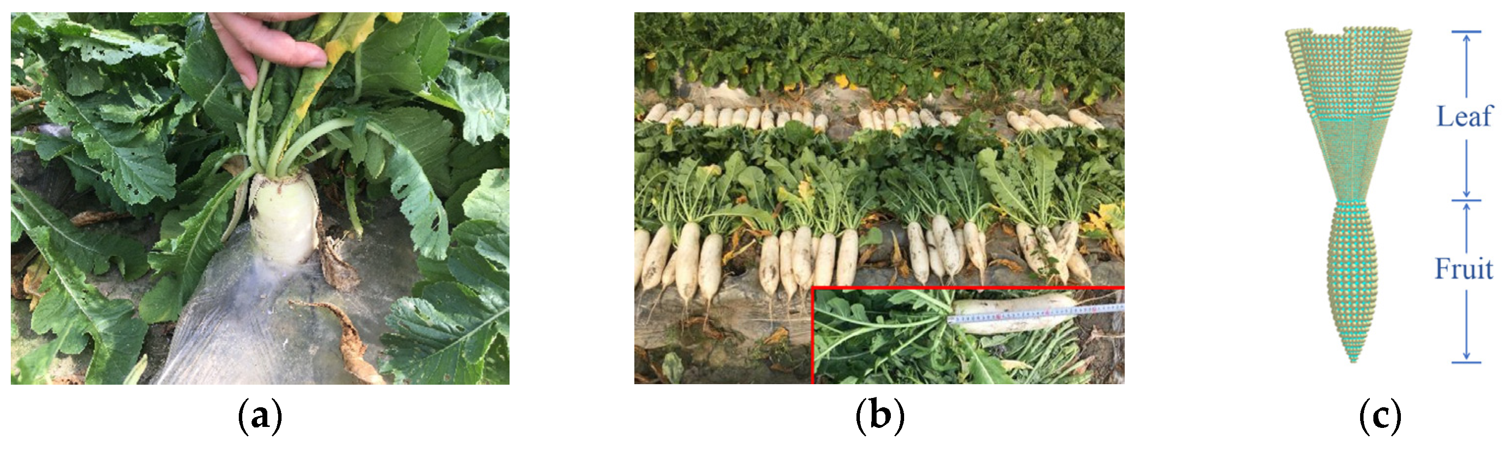 Agriculture 13 00942 g001