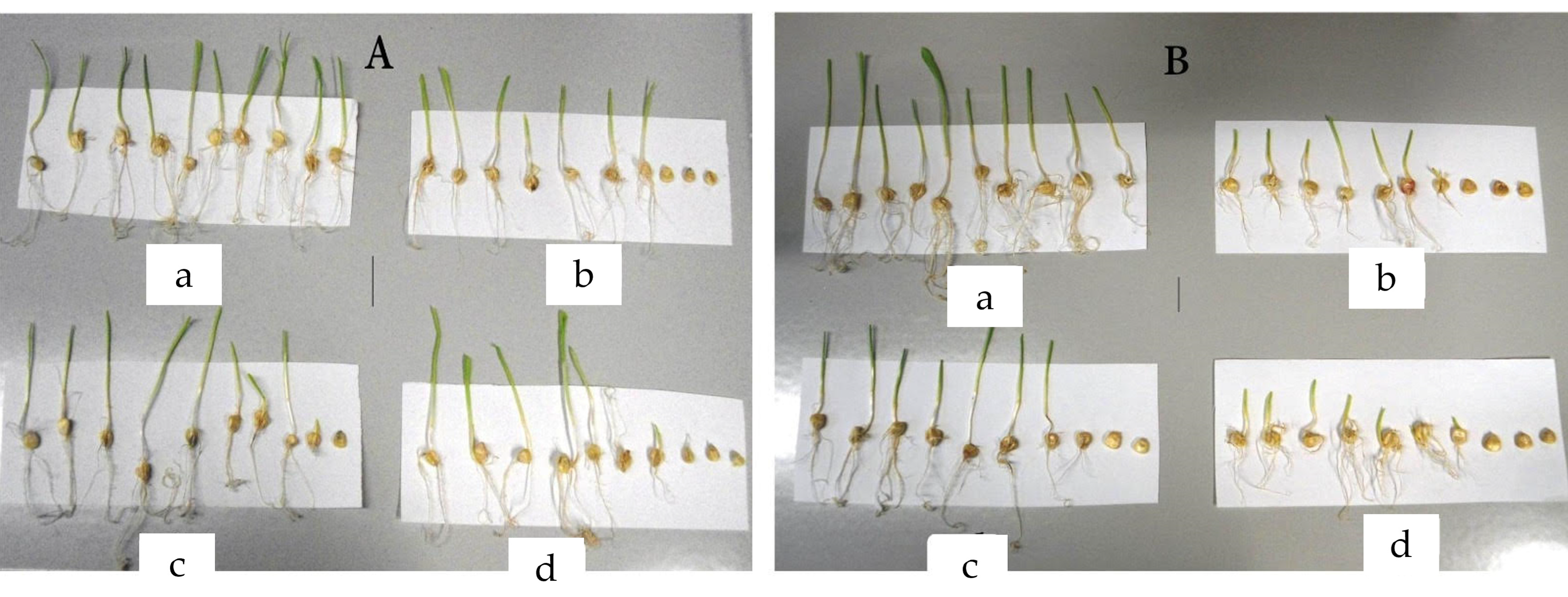 Agriculture 13 00950 g001