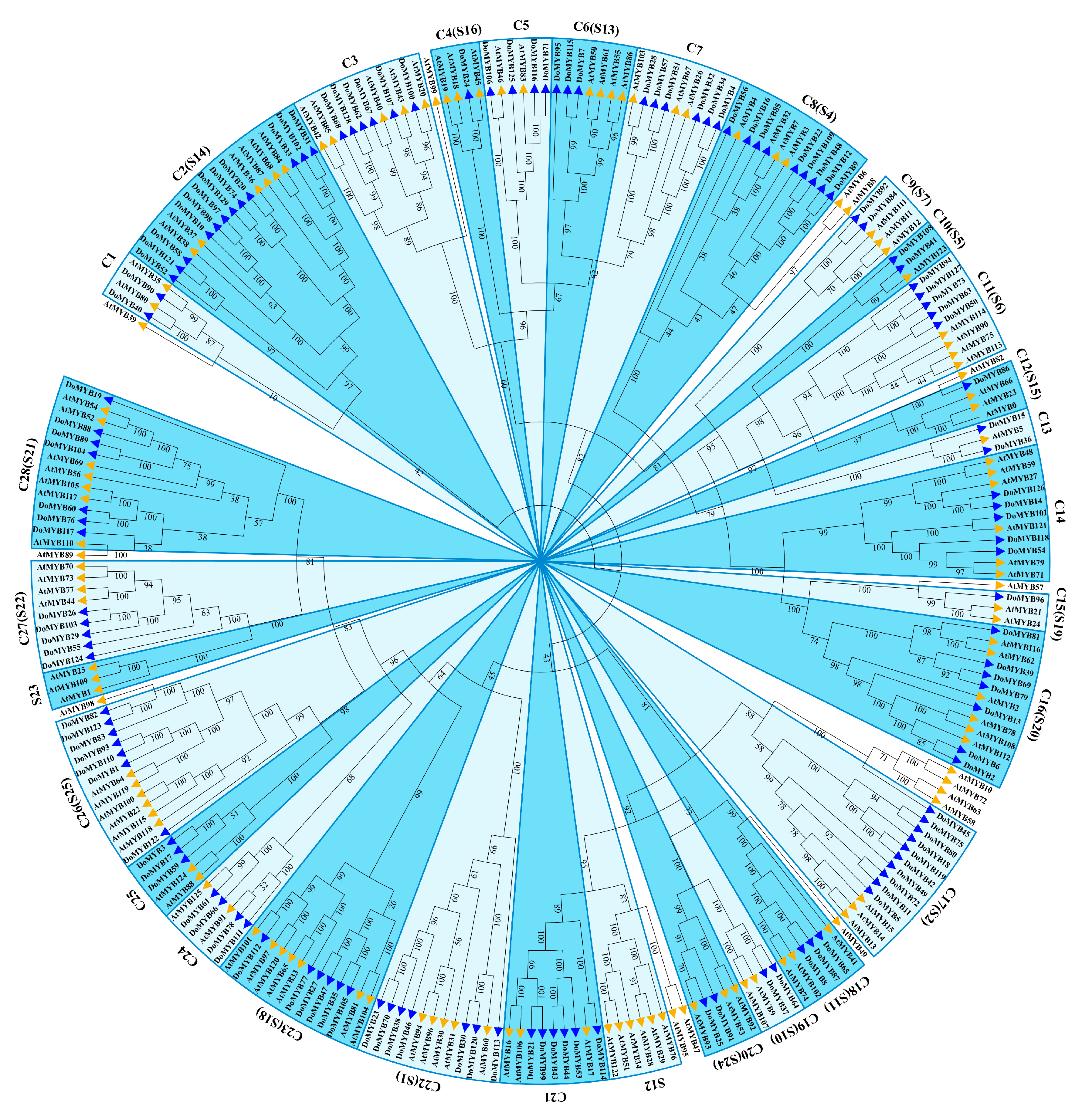 Agriculture 13 00955 g001 Agriculture 13 00955 g001