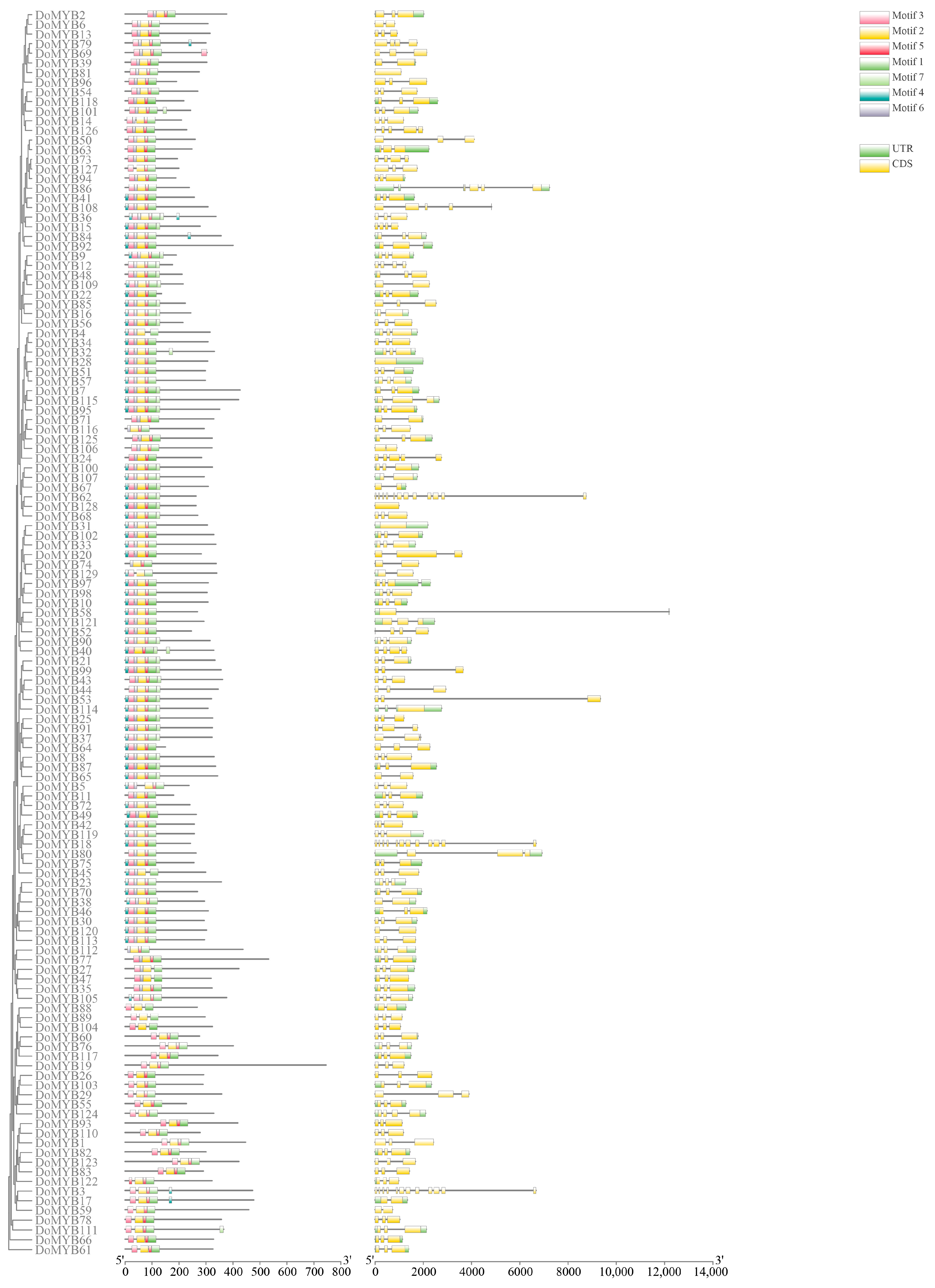 Agriculture 13 00955 g002 Agriculture 13 00955 g002