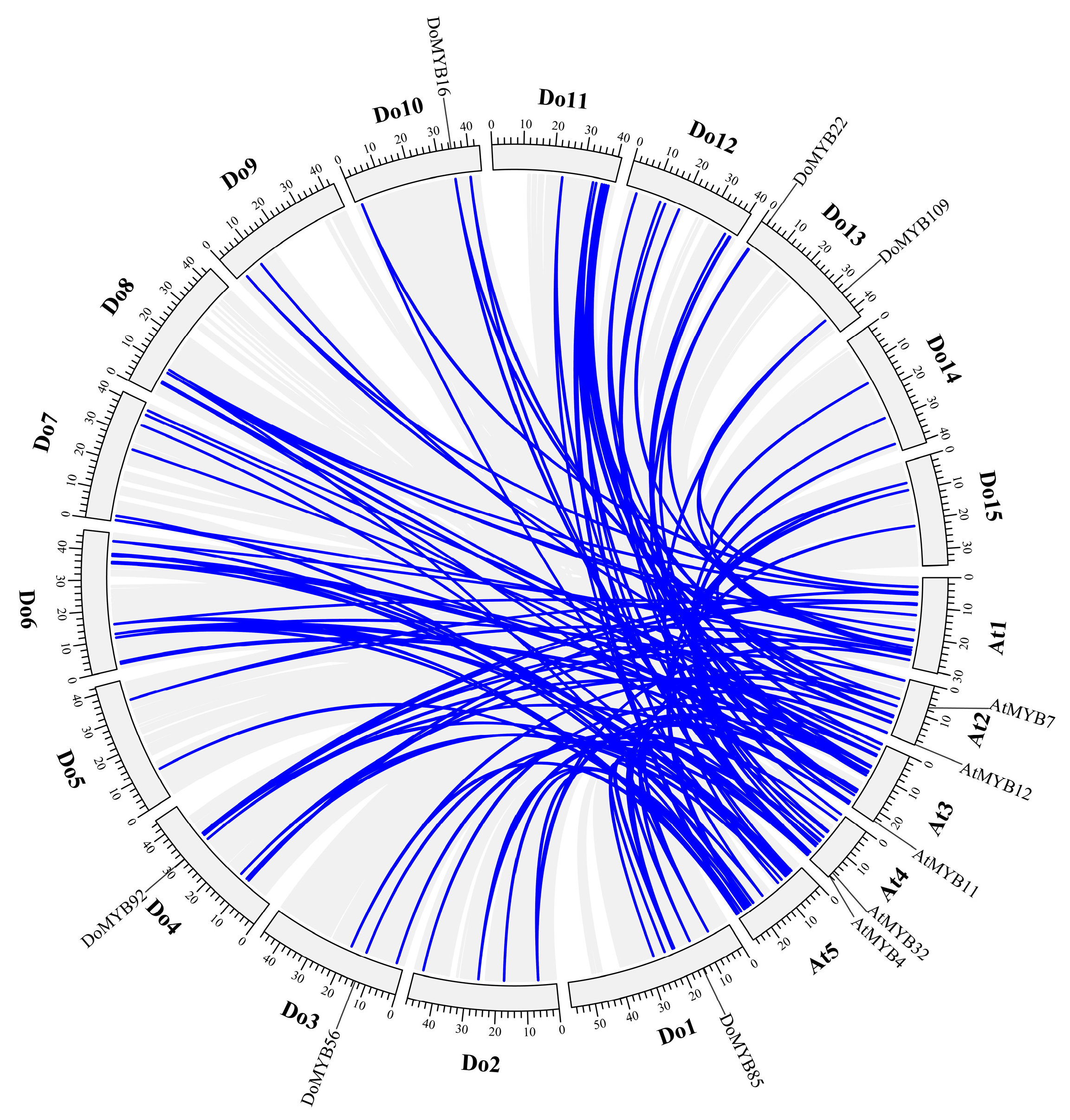 Agriculture 13 00955 g005 Agriculture 13 00955 g005