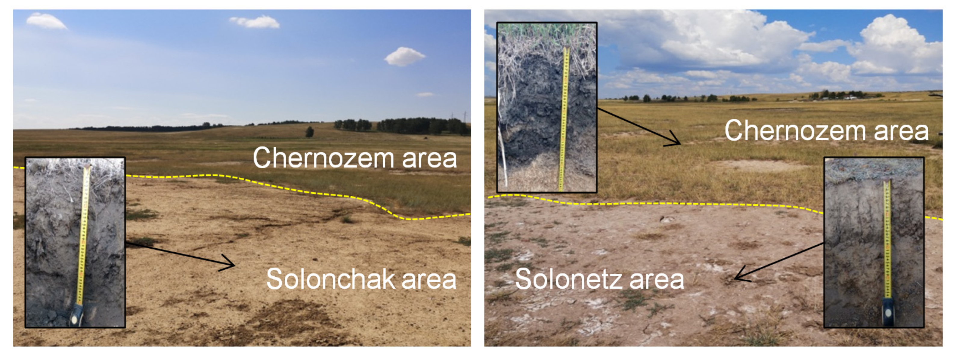 Agriculture 13 00976 g005