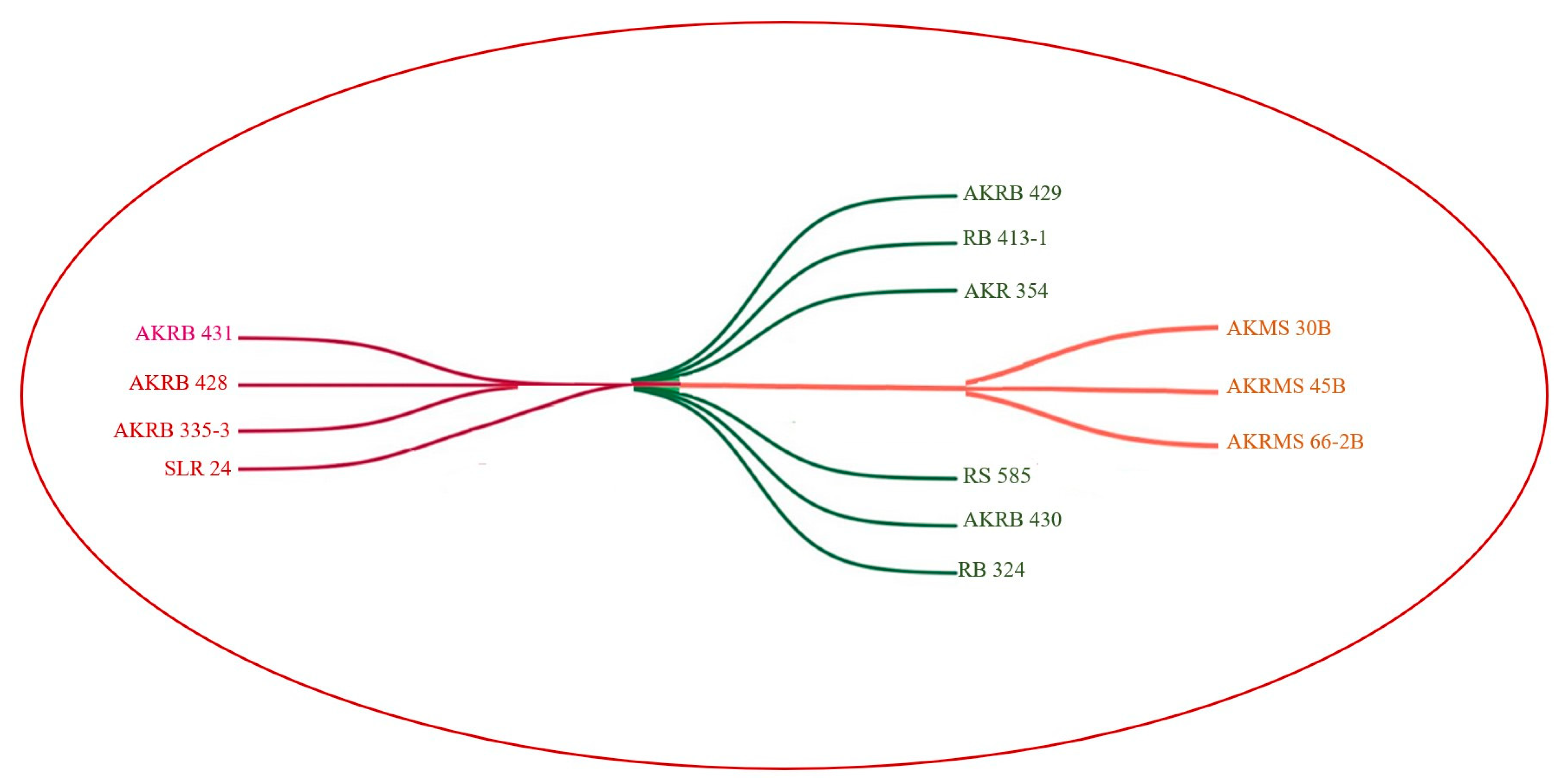 Agriculture 13 00985 g006 Agriculture 13 00985 g006