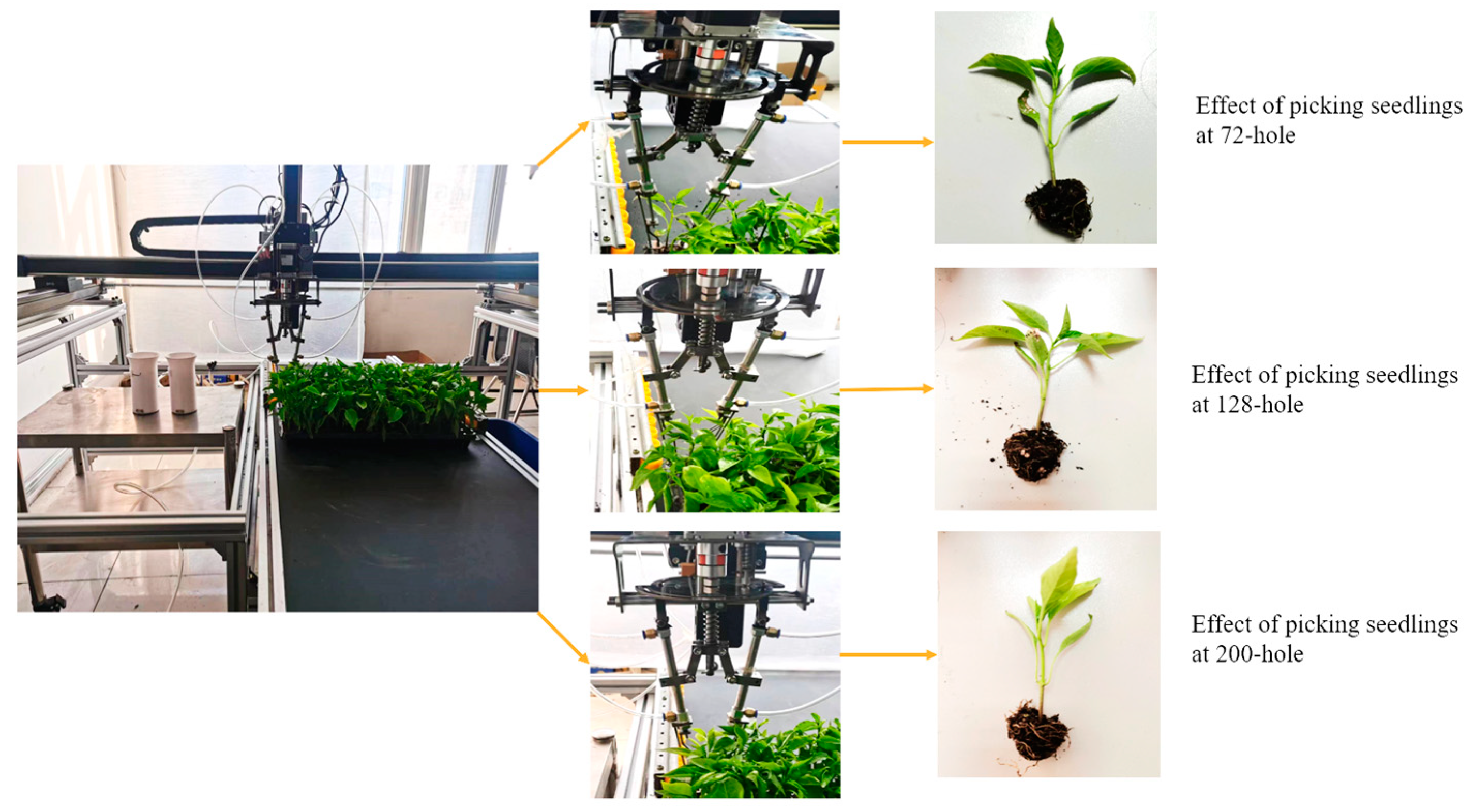 Agriculture 13 00987 g008