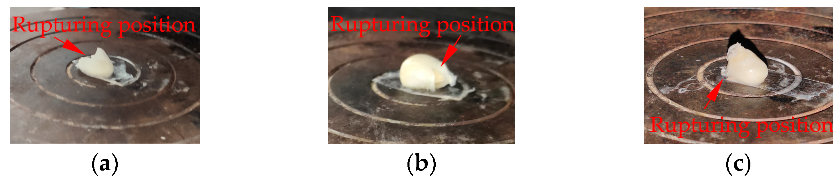 Agriculture 13 00991 g003 Agriculture 13 00991 g003