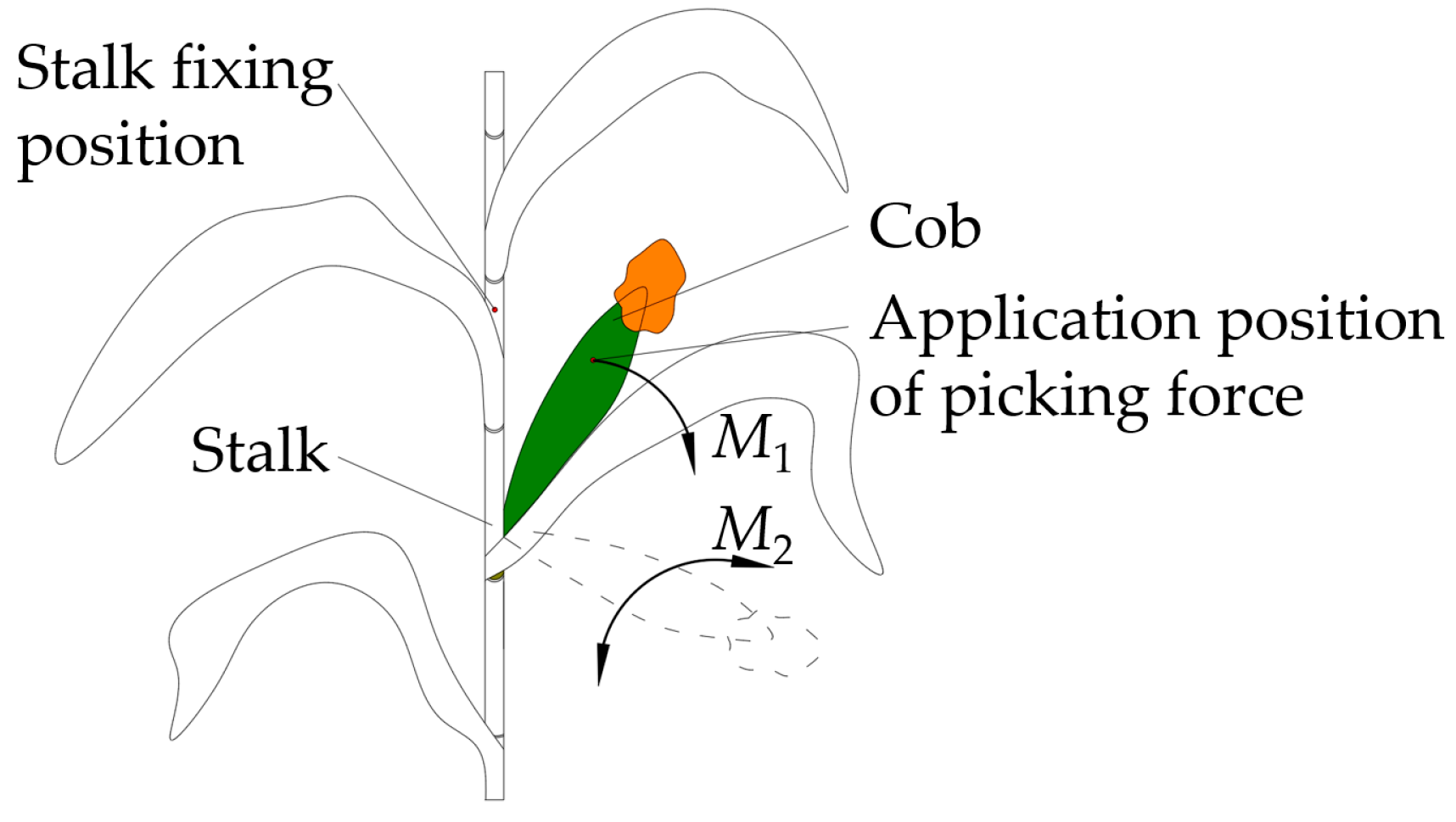 Agriculture 13 00991 g005 Agriculture 13 00991 g005