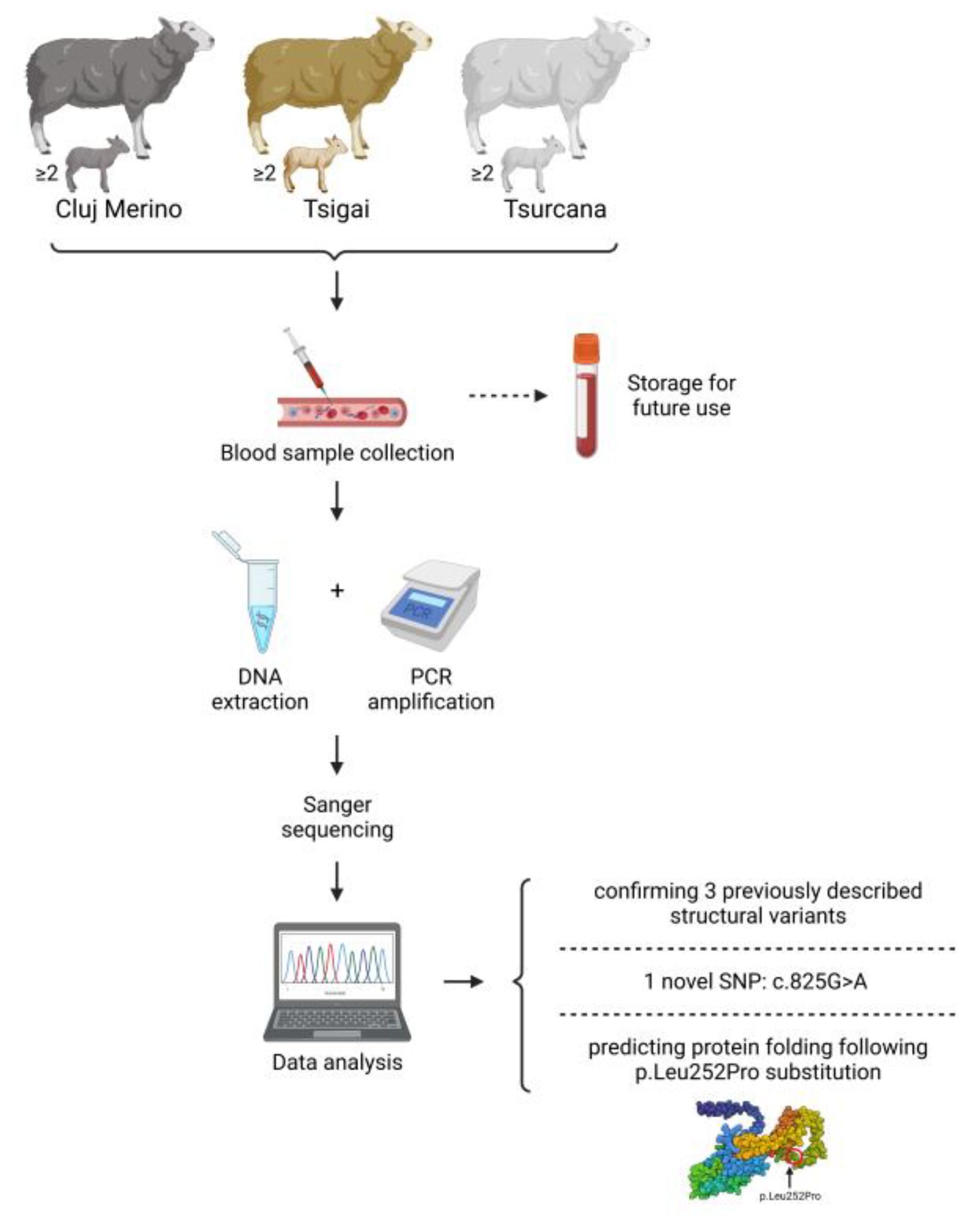 Agriculture 13 00996 g001 Agriculture 13 00996 g001
