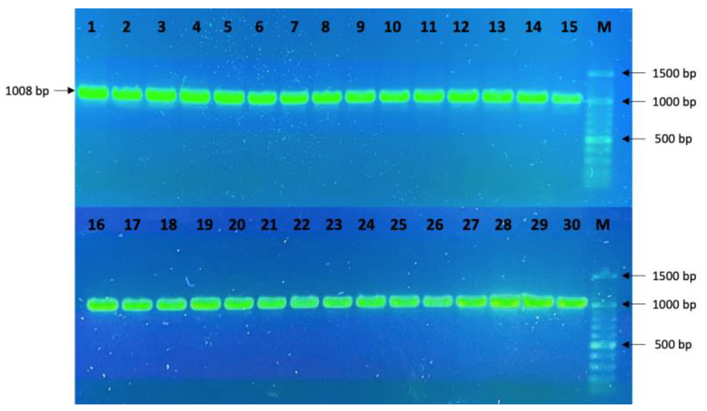 Agriculture 13 00996 g002 Agriculture 13 00996 g002