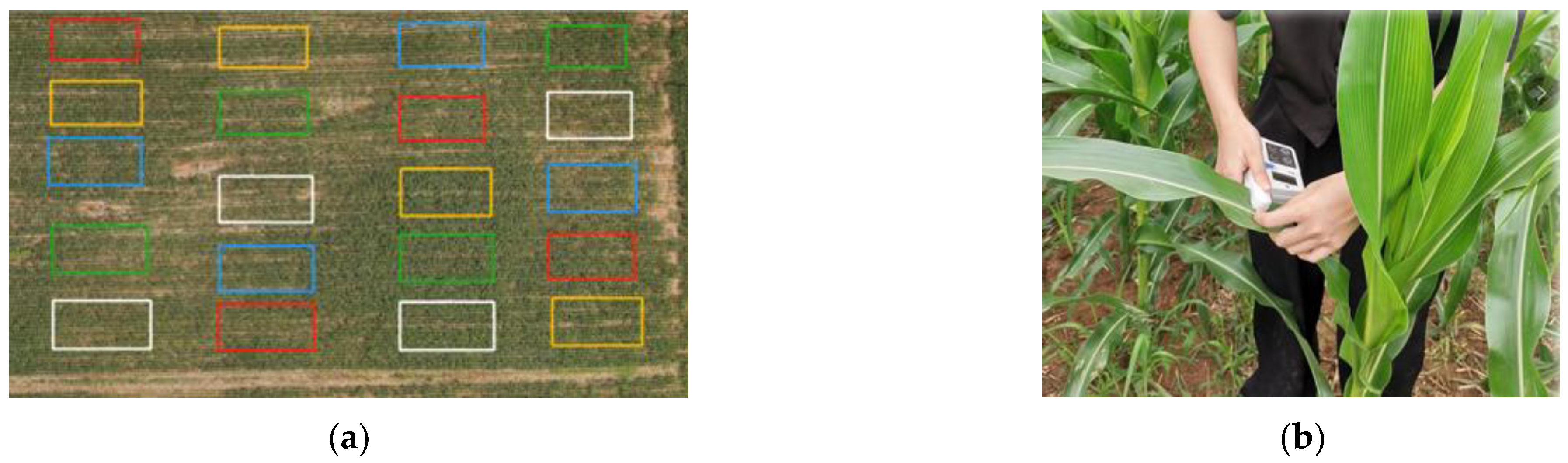 Agriculture 13 01004 g003 Agriculture 13 01004 g003