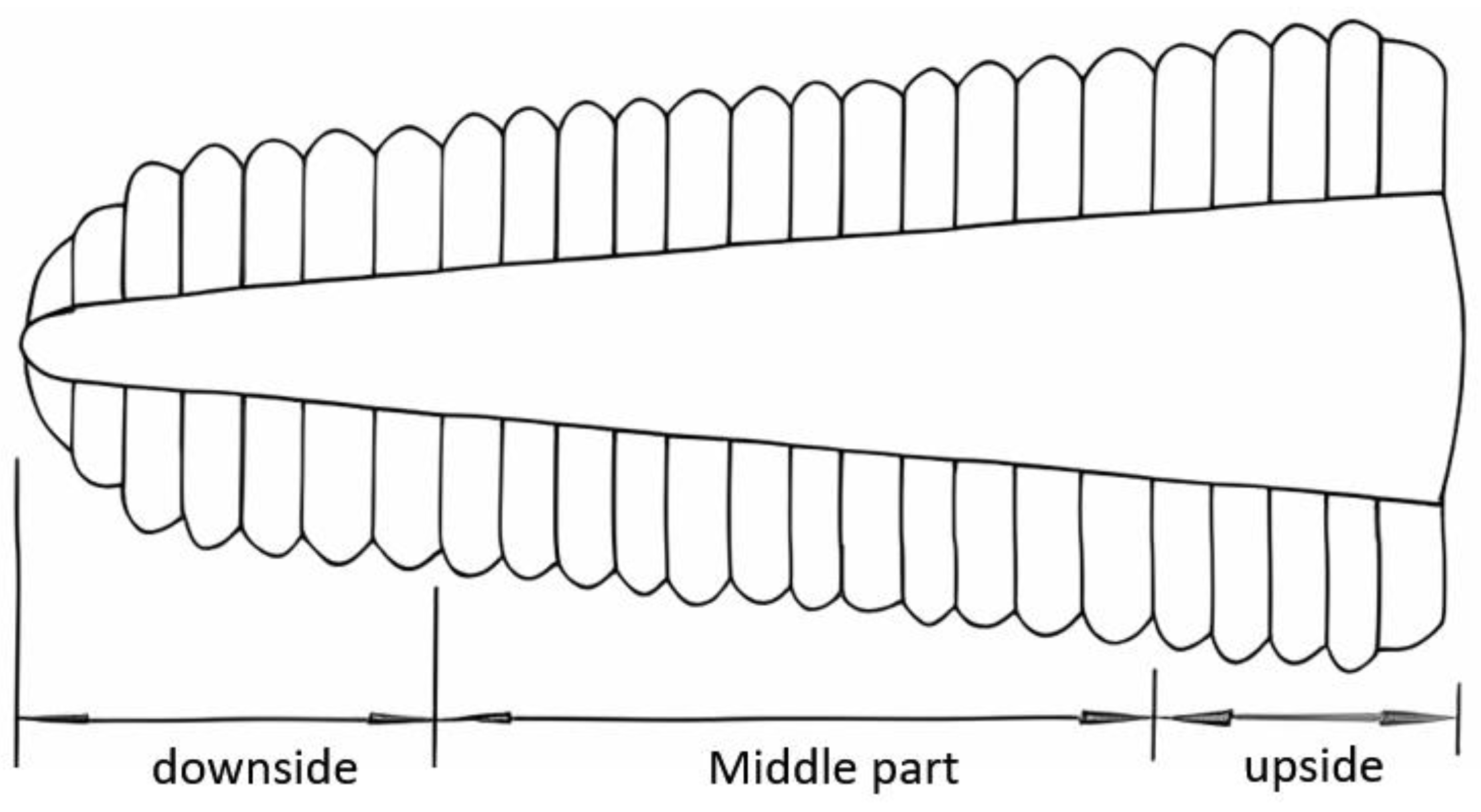 Agriculture 13 01006 g001 Agriculture 13 01006 g001