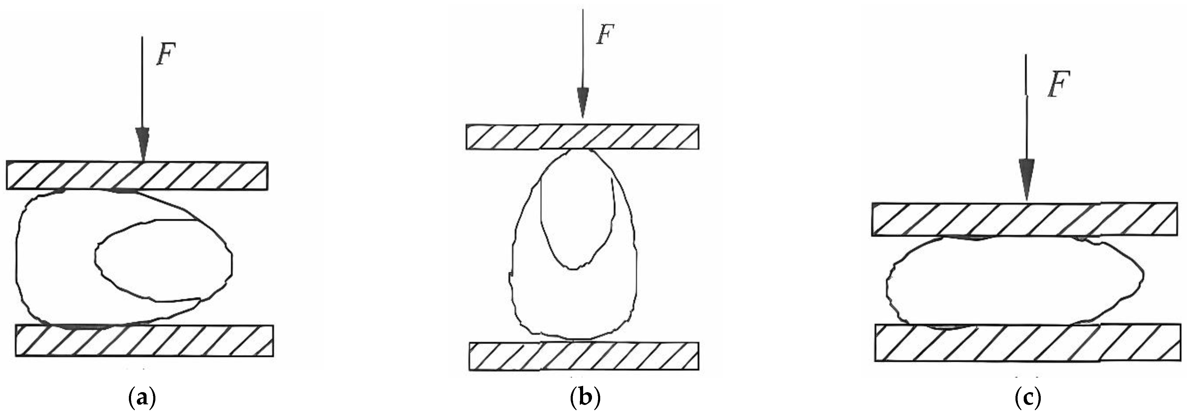 Agriculture 13 01006 g002 Agriculture 13 01006 g002