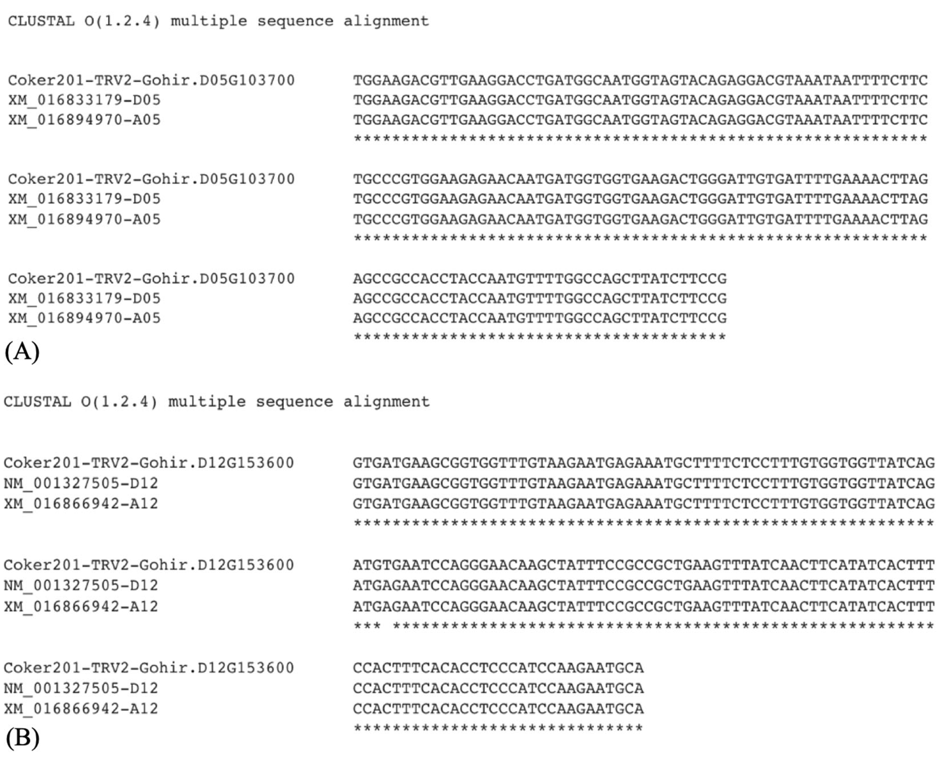 Agriculture 13 01007 g002