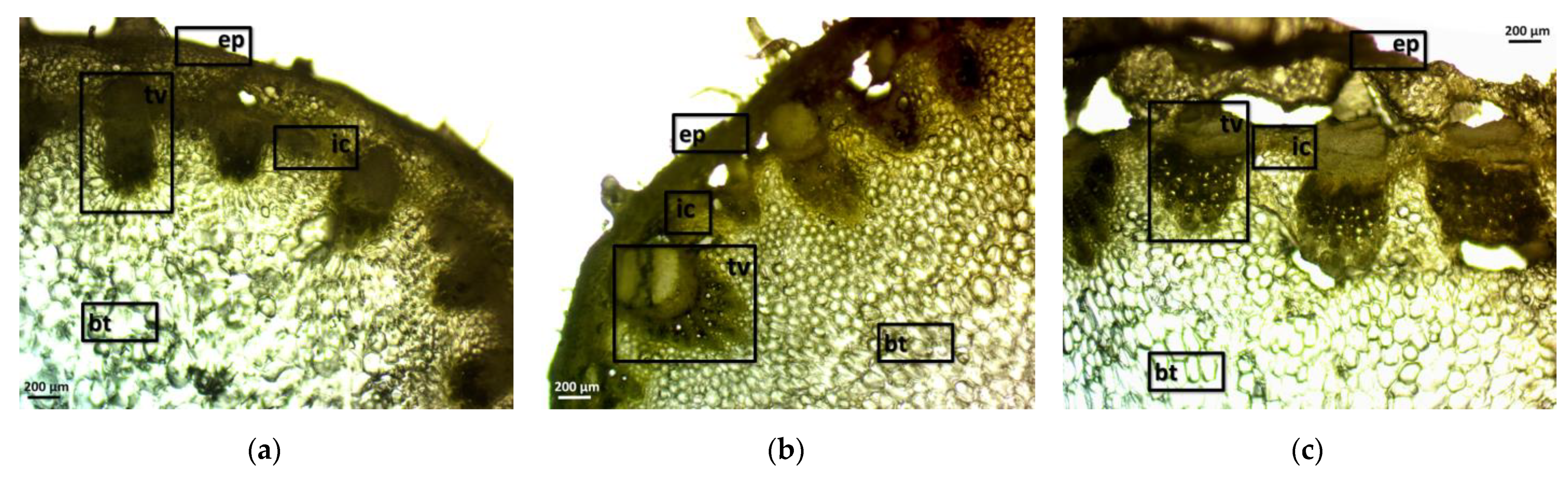 Agriculture 13 01014 g001