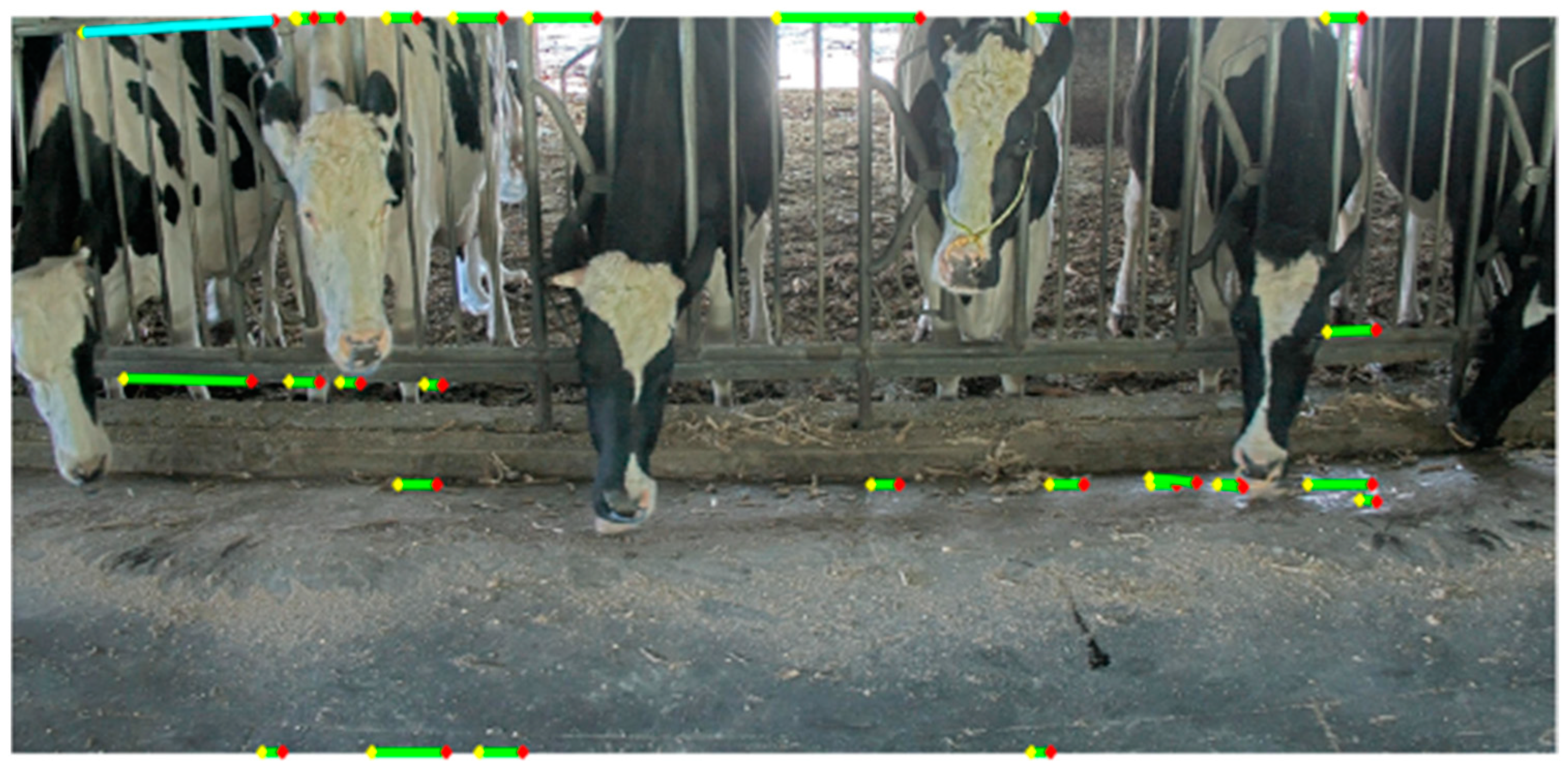 Agriculture 13 01016 g007