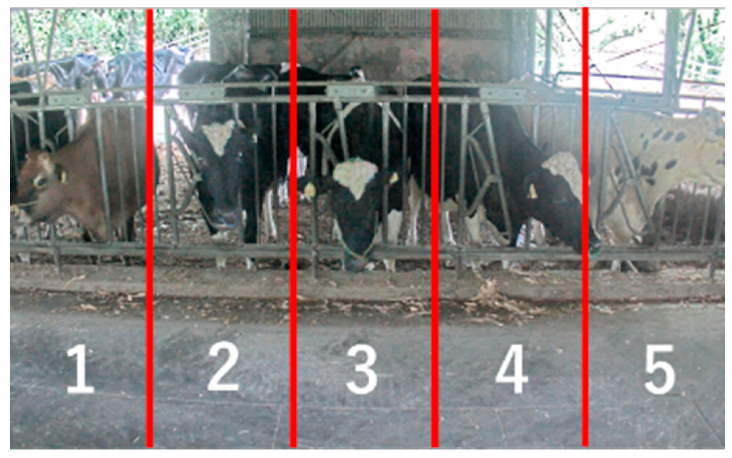 Agriculture 13 01016 g009