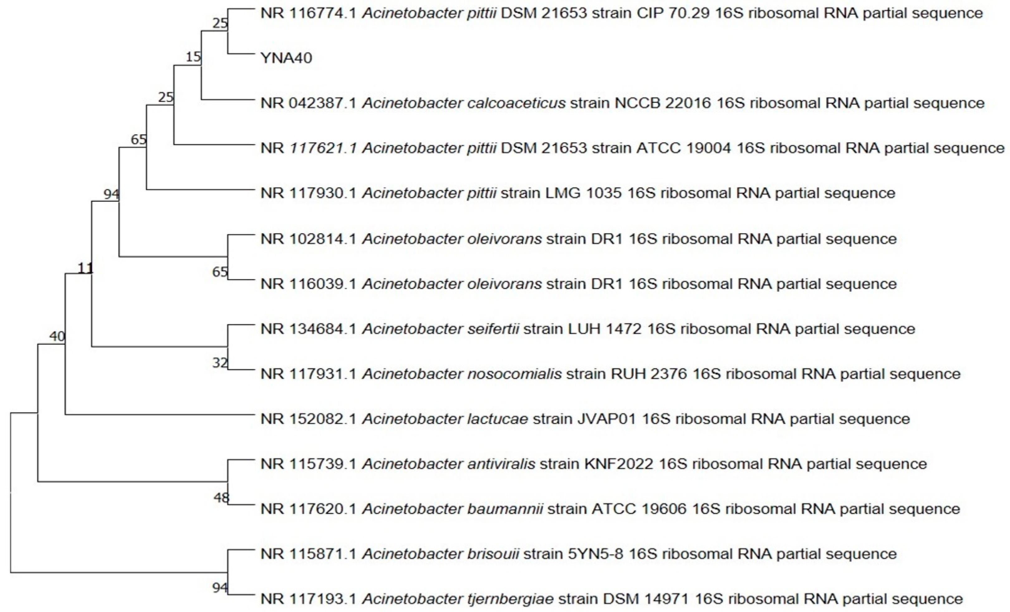 Agriculture 13 01021 g003 Agriculture 13 01021 g003