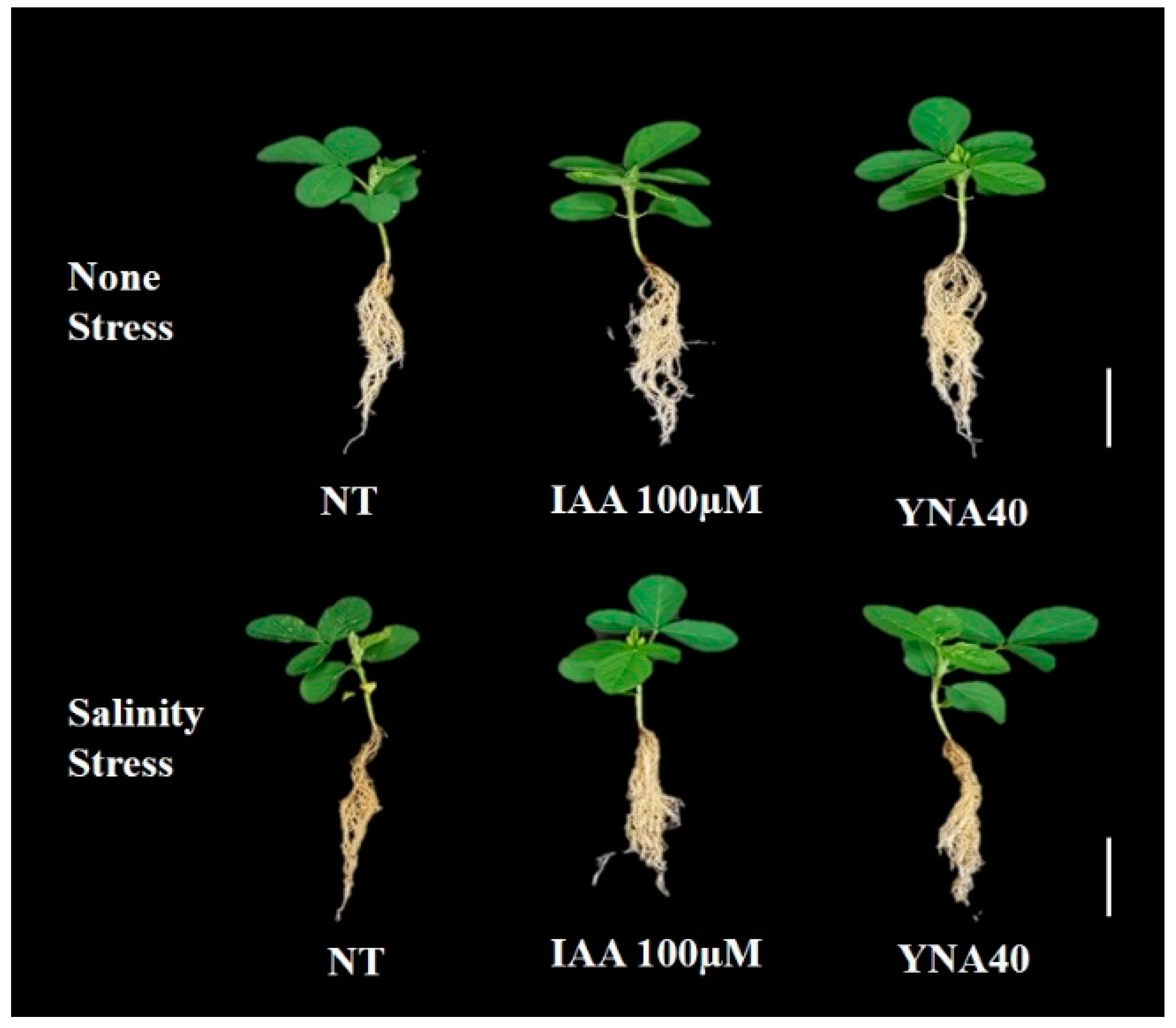 Agriculture 13 01021 g004 Agriculture 13 01021 g004