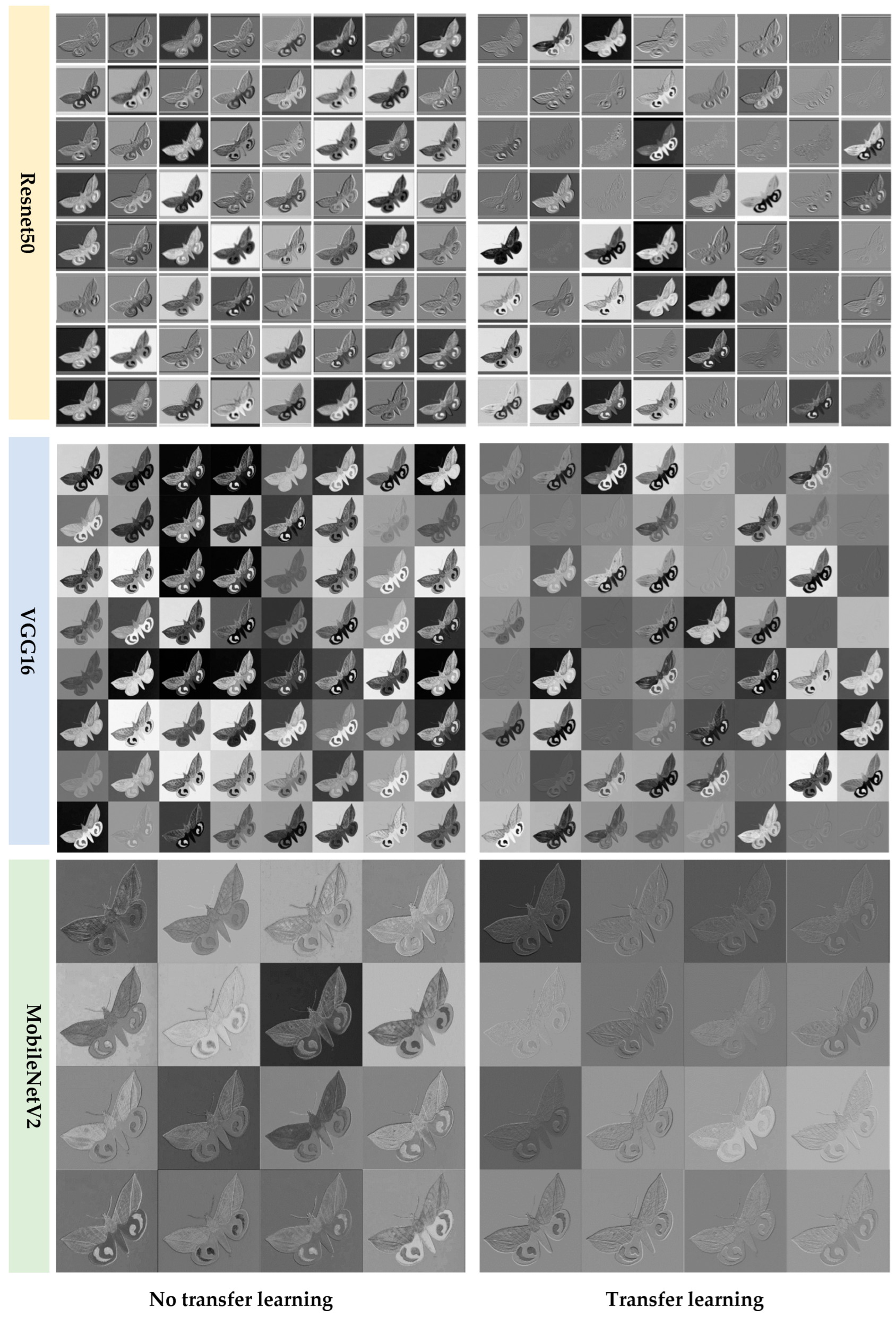 Agriculture 13 01023 g008 Agriculture 13 01023 g008