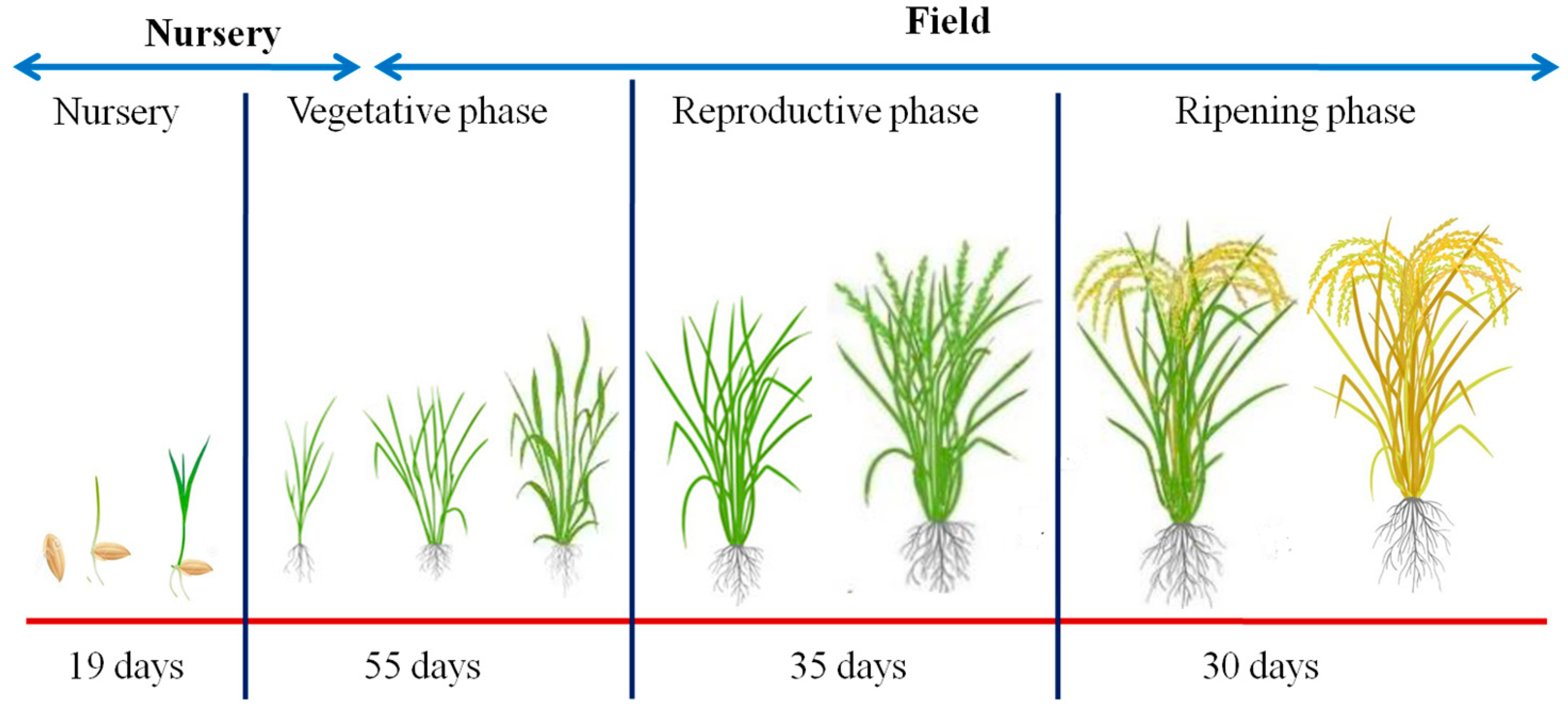 Agriculture 13 01037 g003 Agriculture 13 01037 g003