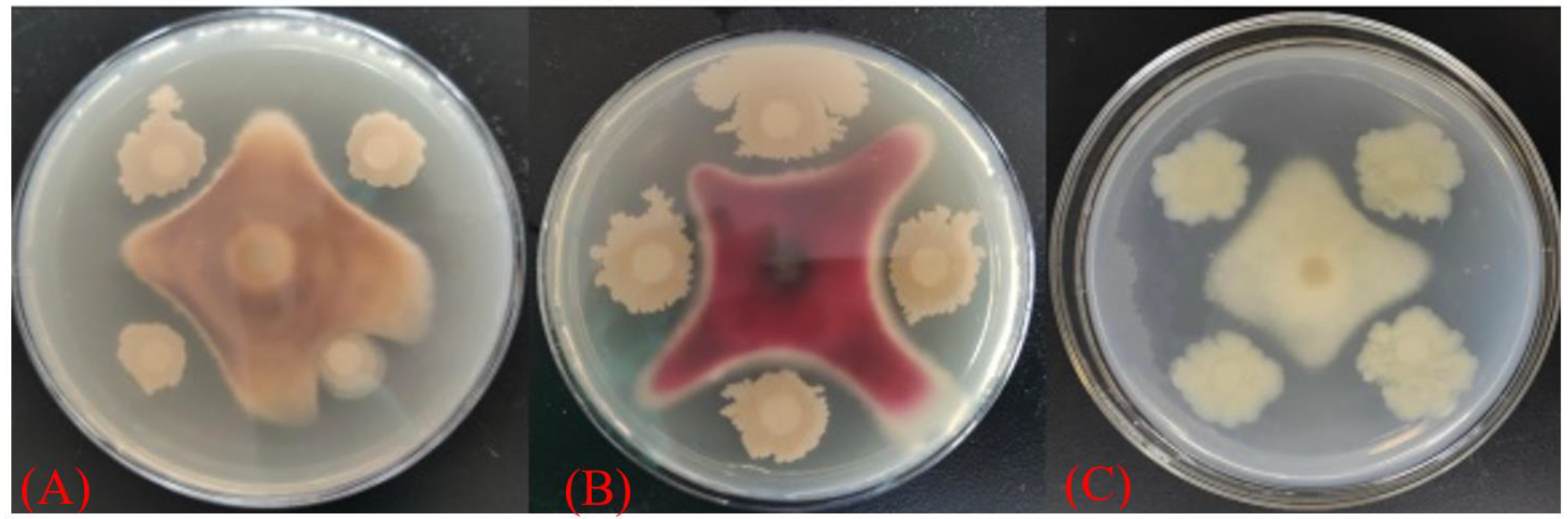 Agriculture 13 01041 g001 Agriculture 13 01041 g001