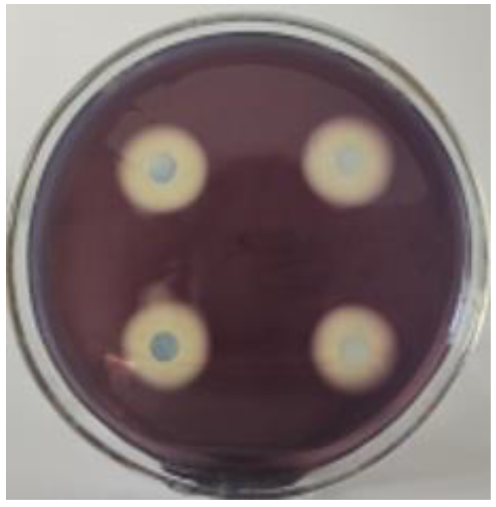 Agriculture 13 01041 g002 Agriculture 13 01041 g002