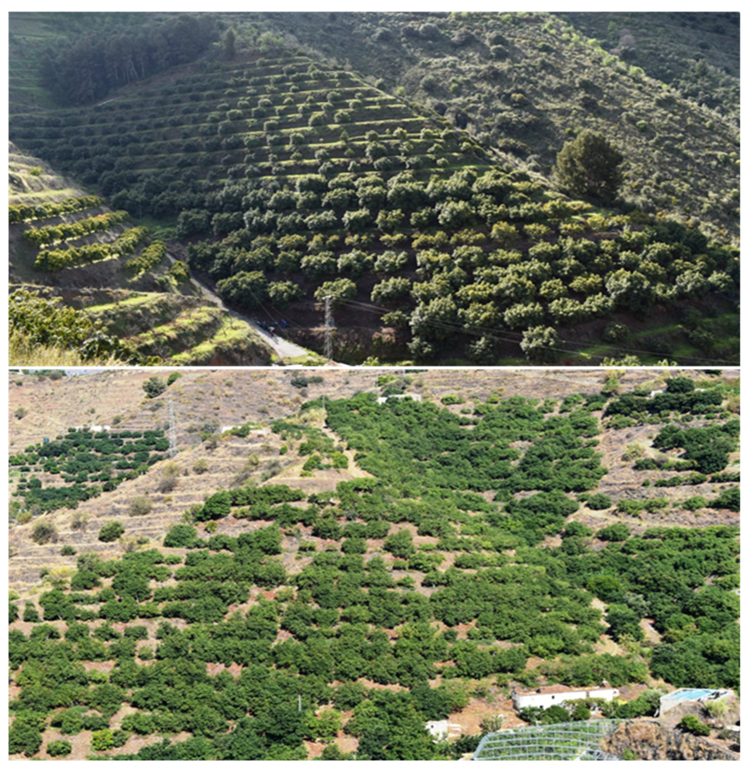 Agriculture 13 01049 g004