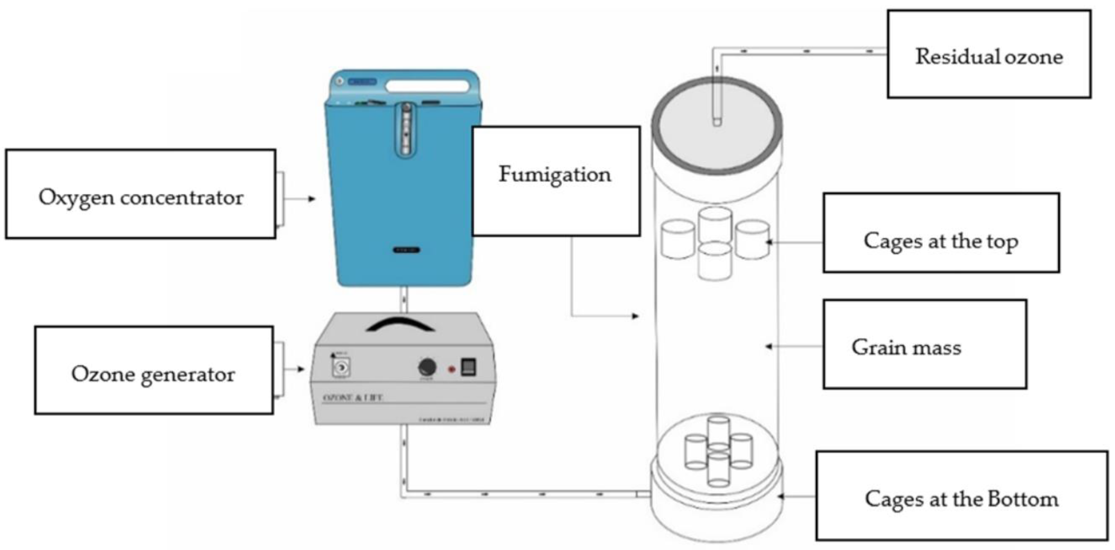 Agriculture 13 01052 g002 Agriculture 13 01052 g002