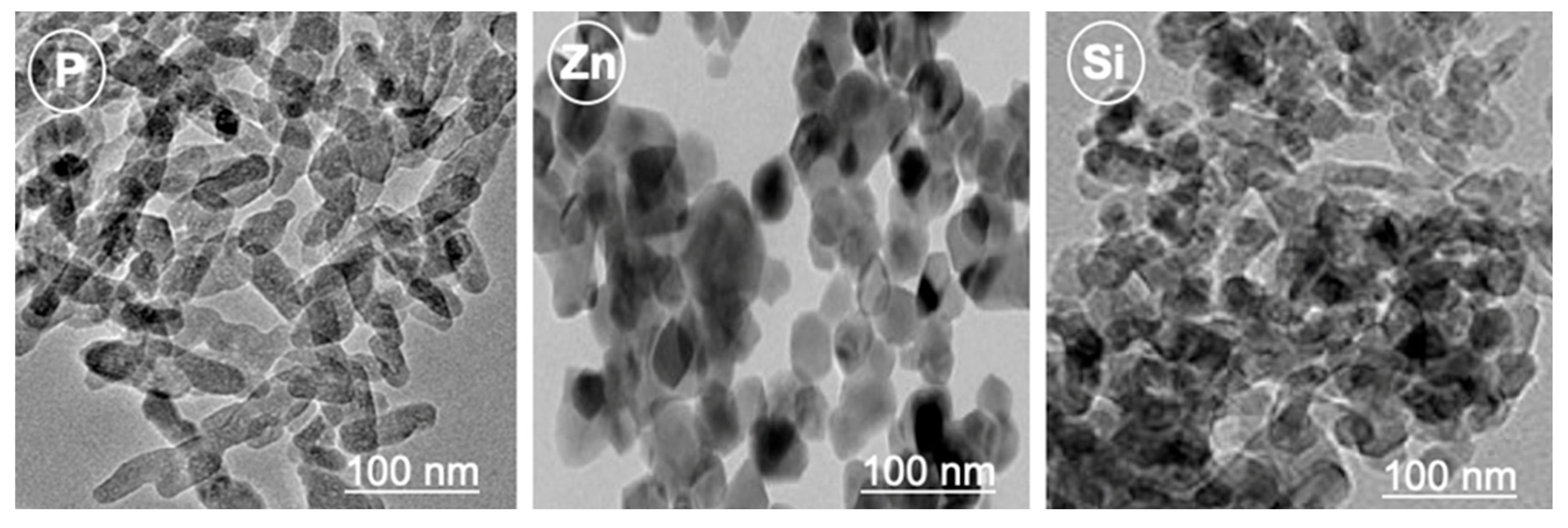 Agriculture 13 01061 g001 Agriculture 13 01061 g001