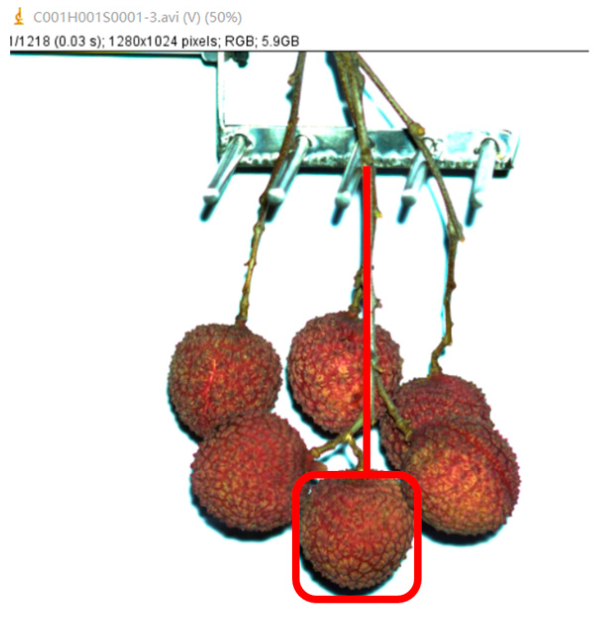 Agriculture 13 01065 g002 Agriculture 13 01065 g002