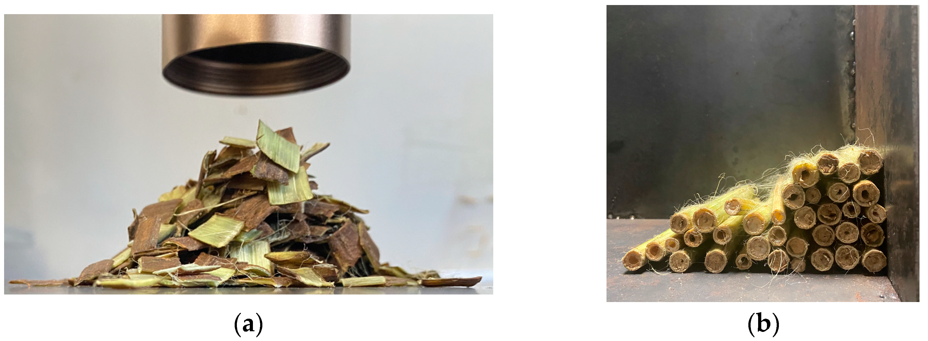 Agriculture 13 01070 g004